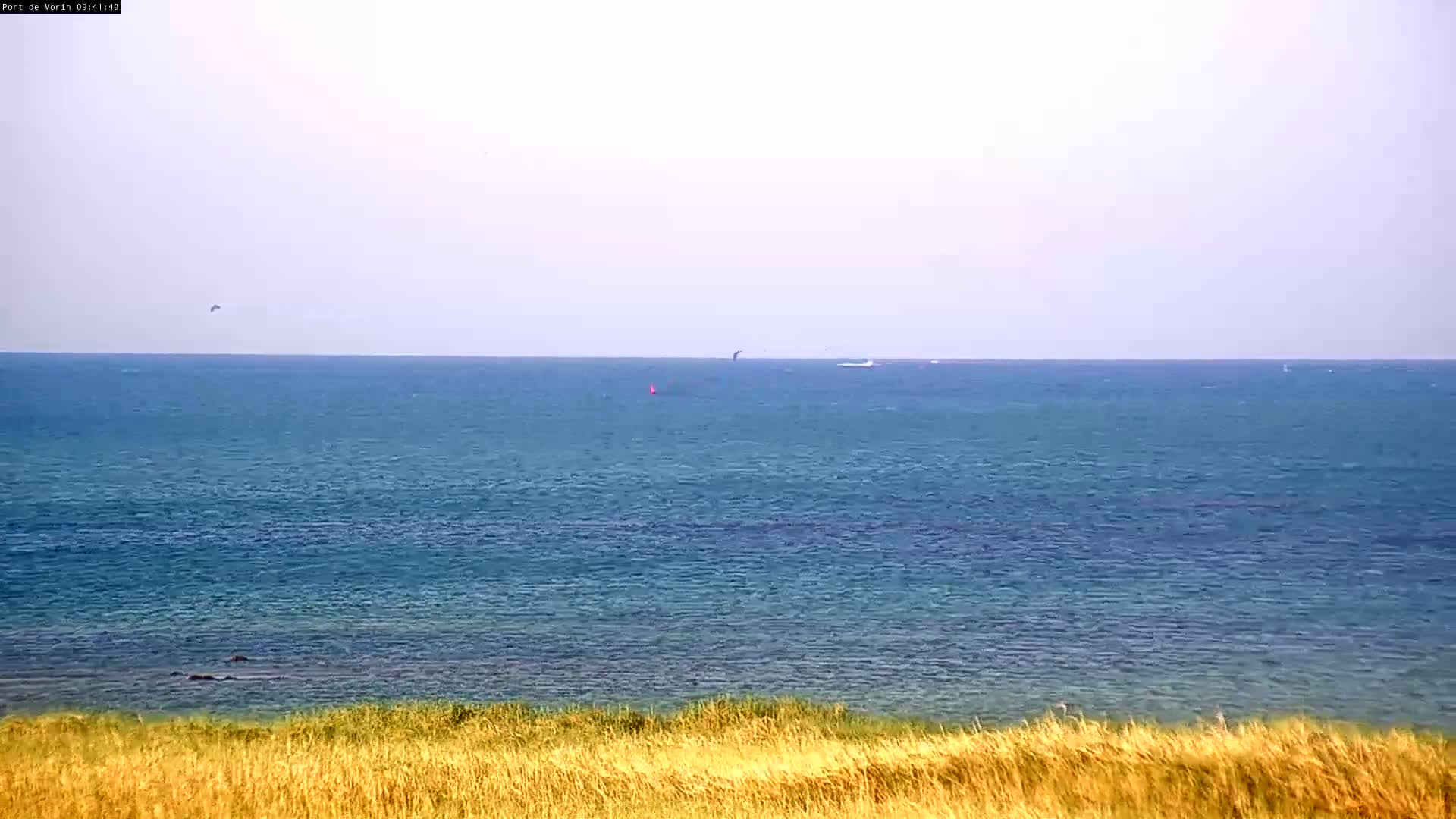 A calm, blue ocean stretches to a hazy horizon under a pale sky, viewed from a grassy dune.