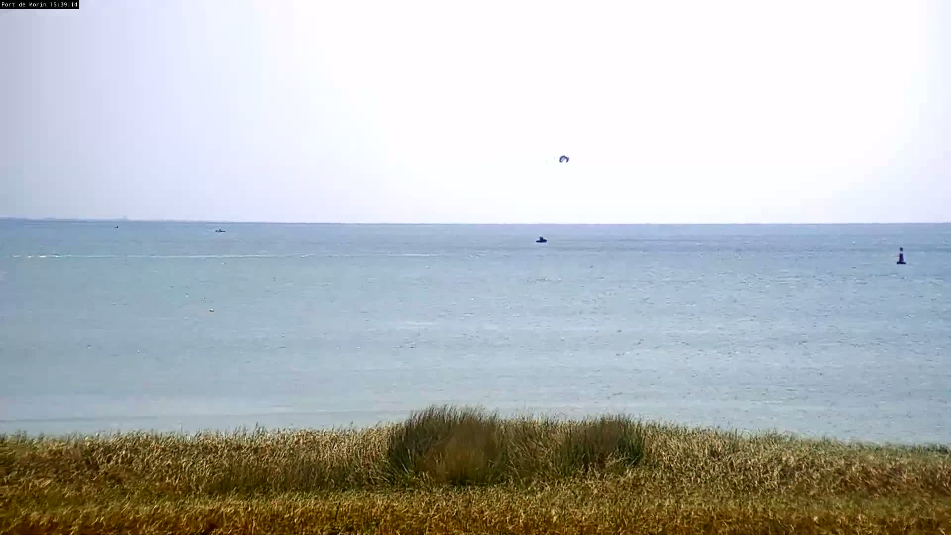 A calm, light-grey sea is viewed from behind tall grasses, with a kitesurfer and several small watercraft visible in the distance.