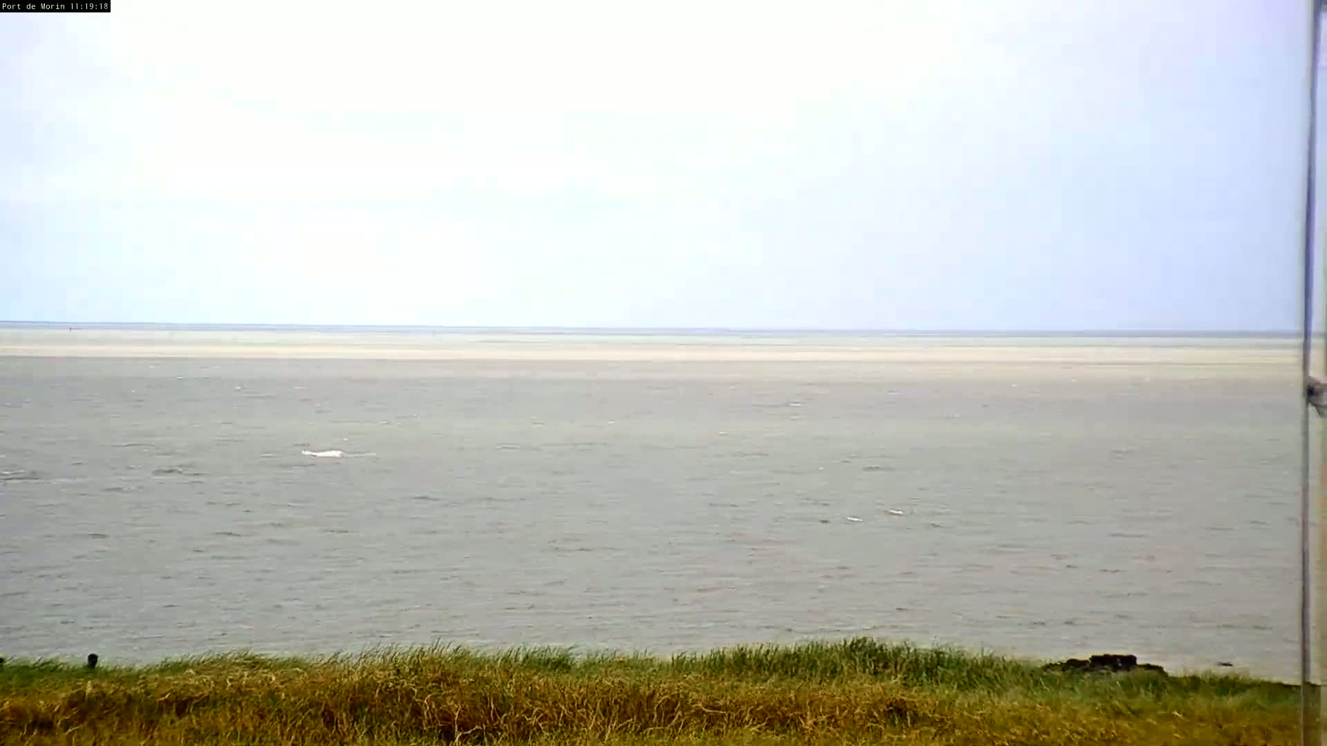 A calm, overcast day reveals a wide expanse of grey water extending to a pale horizon, viewed from behind tall grasses.