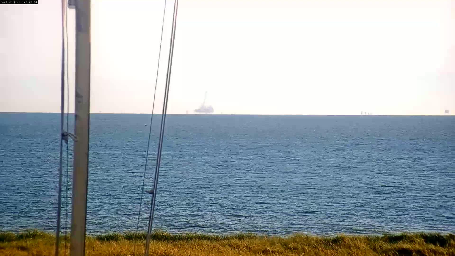 A calm, hazy ocean is viewed from a grassy shore, with a distant ship and several wind turbines visible on the horizon.