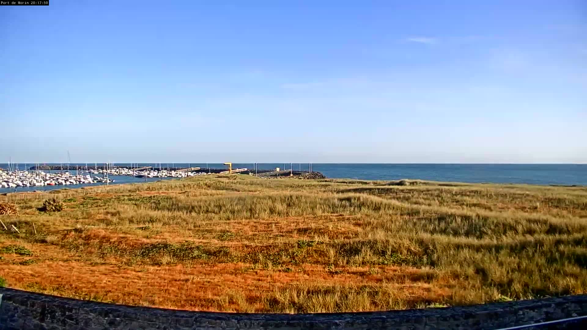 A view of a calm ocean with a marina in the background, seen from across a field of dry, golden grass under a clear blue sky.