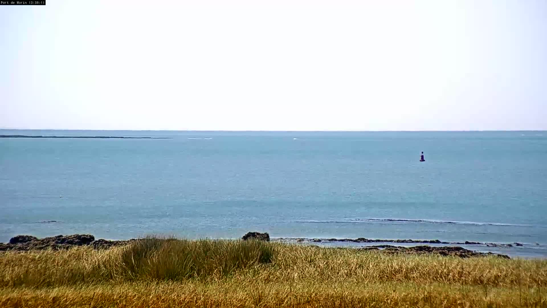 A calm, light-blue ocean stretches to the horizon, partially obscured by tall, dry grass in the foreground, with a single buoy visible in the water.