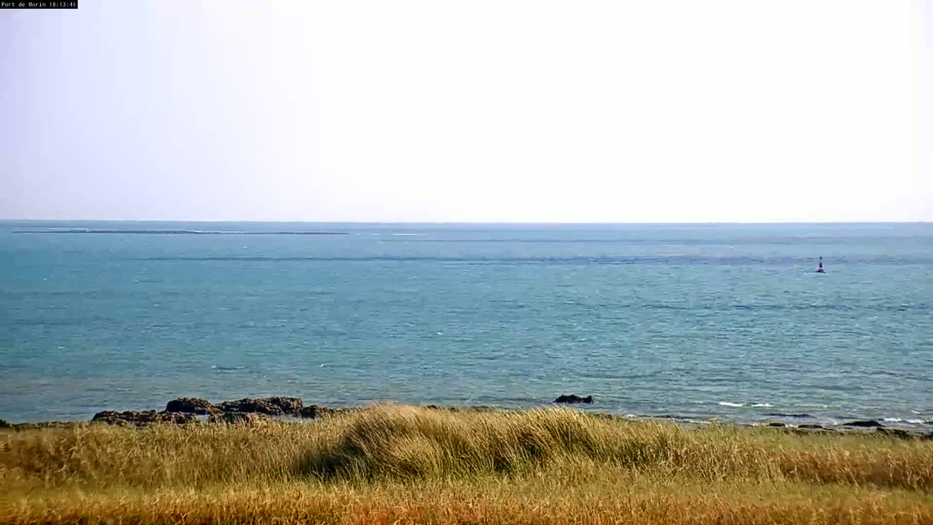 A calm, light-blue ocean stretches to a distant horizon, viewed from behind tall grasses bordering a rocky shoreline.