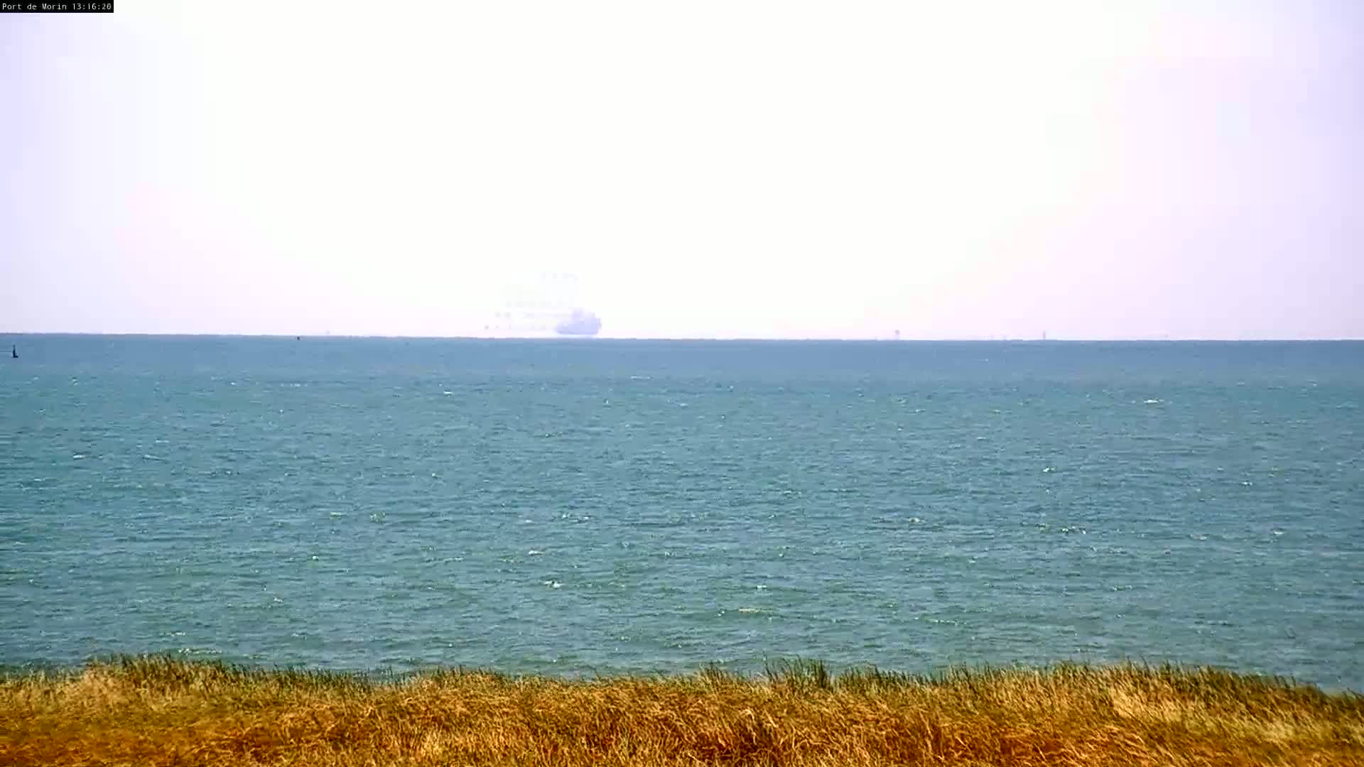 A calm, hazy ocean stretches to the horizon, where a large vessel is barely visible, viewed from behind tall, dry grass.