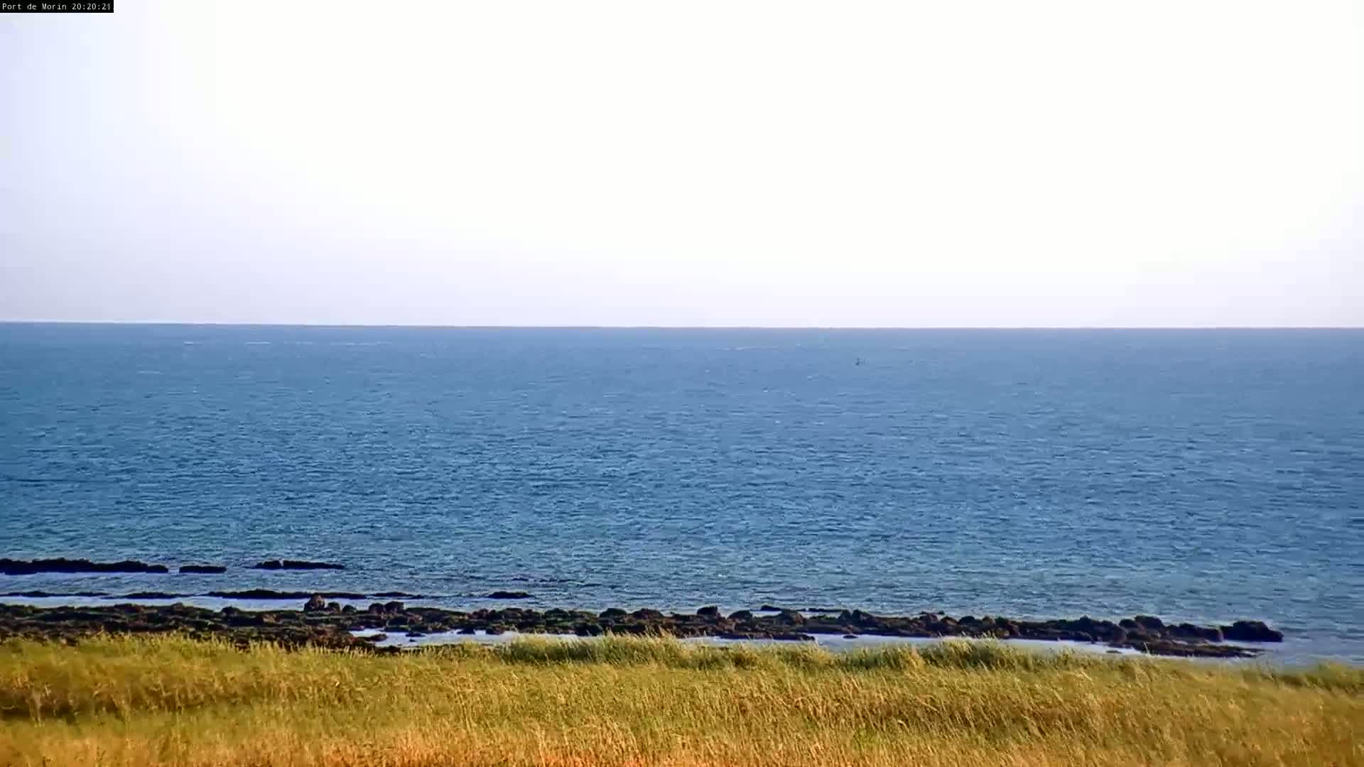 A calm, blue ocean stretches to the horizon under a pale sky, meeting a shoreline of dark rocks and tall, windswept grasses.