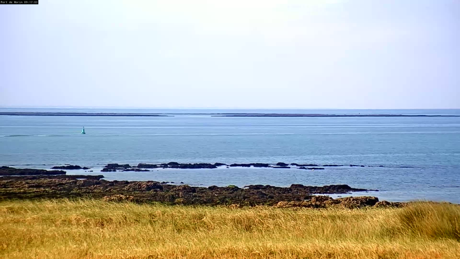 A sailboat is visible on a calm, light-blue ocean beyond a foreground of tall, dry grass and dark-colored rocks along the shoreline.