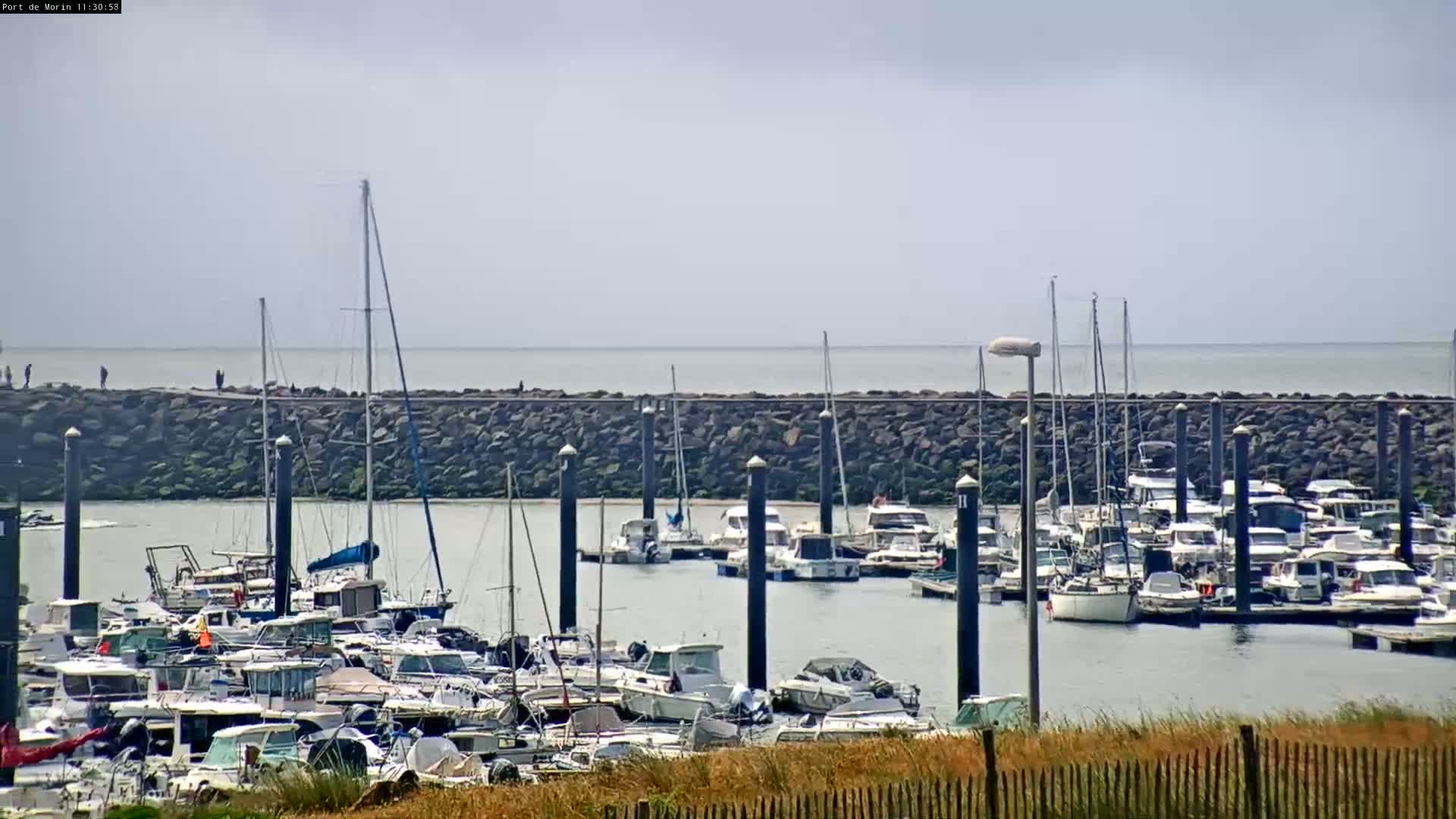 A harbor filled with numerous boats and yachts is seen from across a grassy area with a rock wall separating it from a calm sea under a mostly cloudy sky.