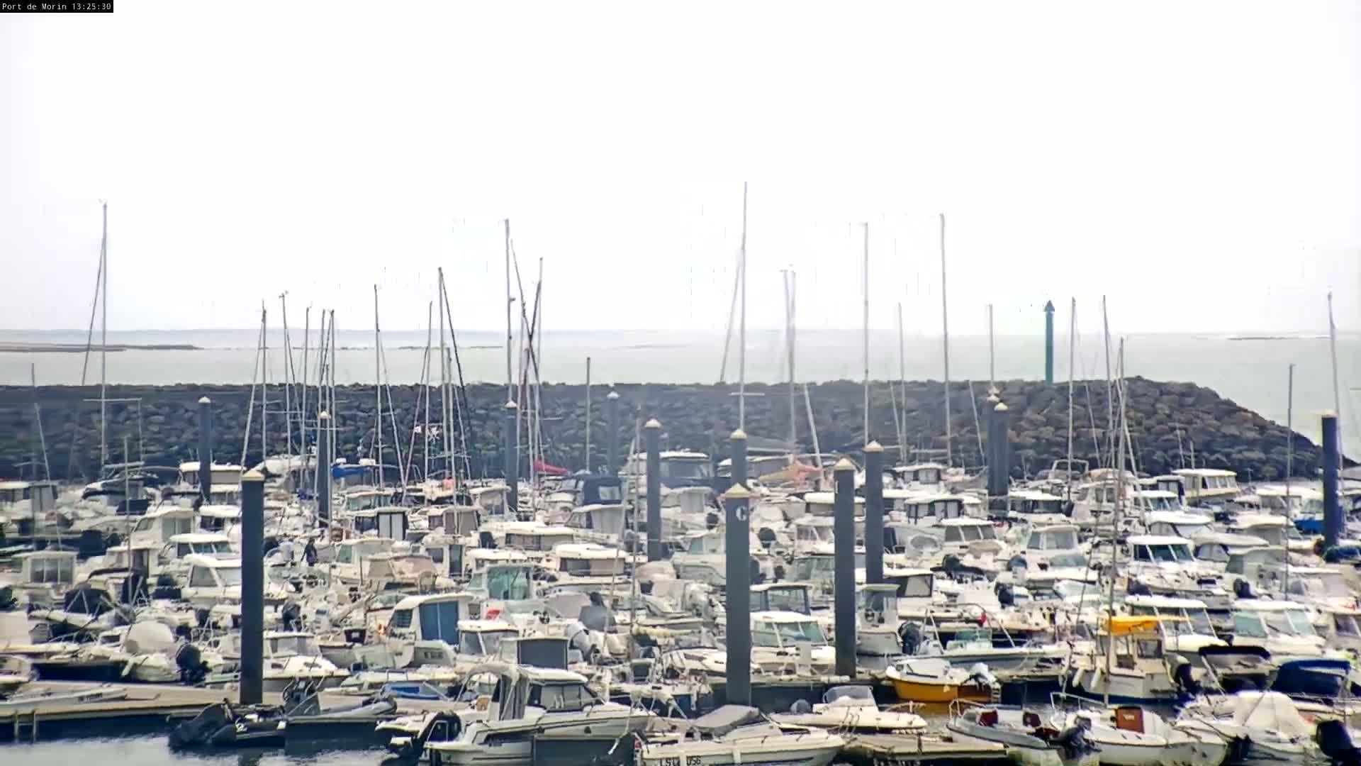 A harbor filled with numerous docked motorboats and sailboats on a calm, overcast day.