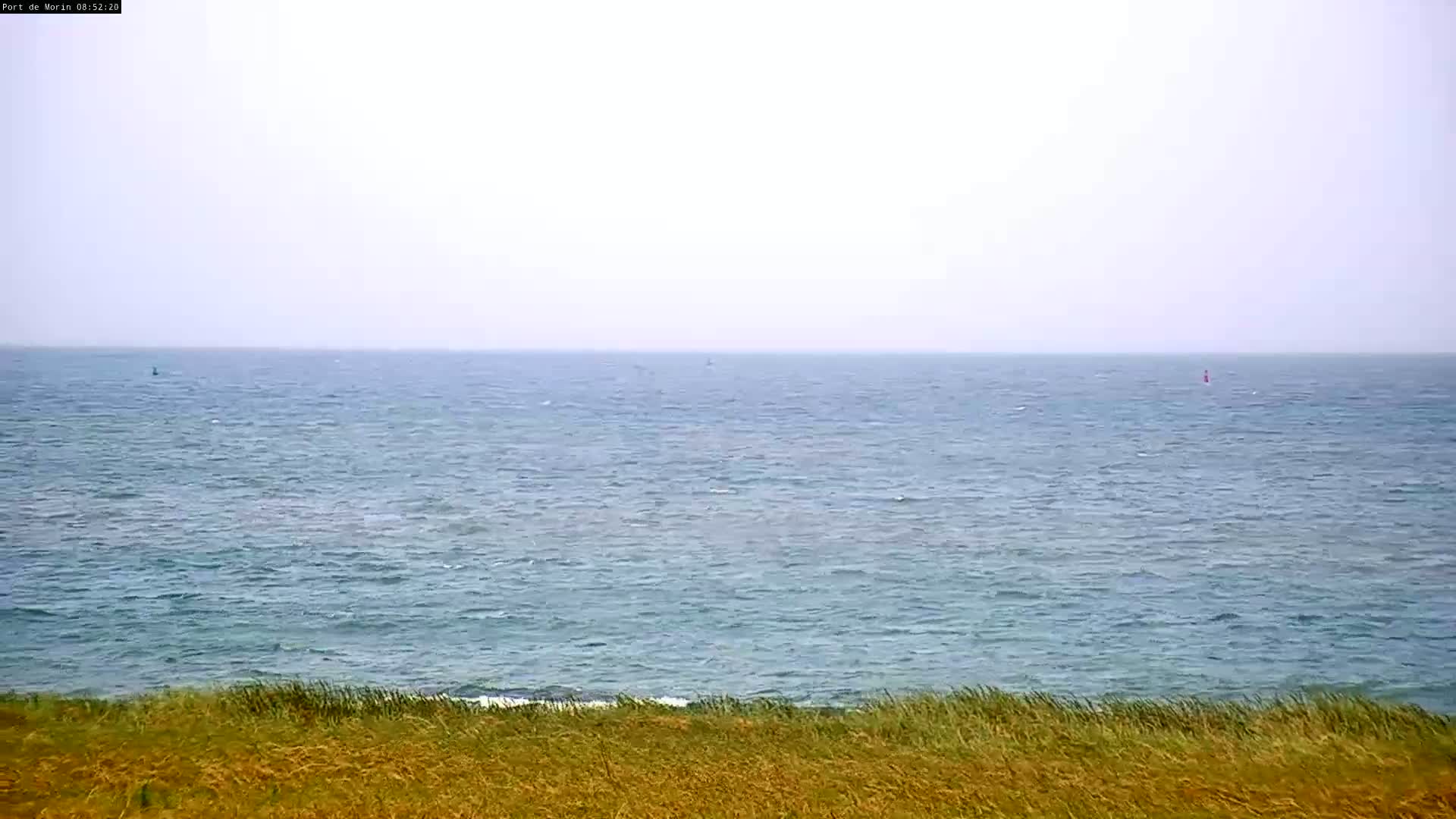A calm, somewhat hazy ocean stretches to the horizon, viewed from a grassy cliff.
