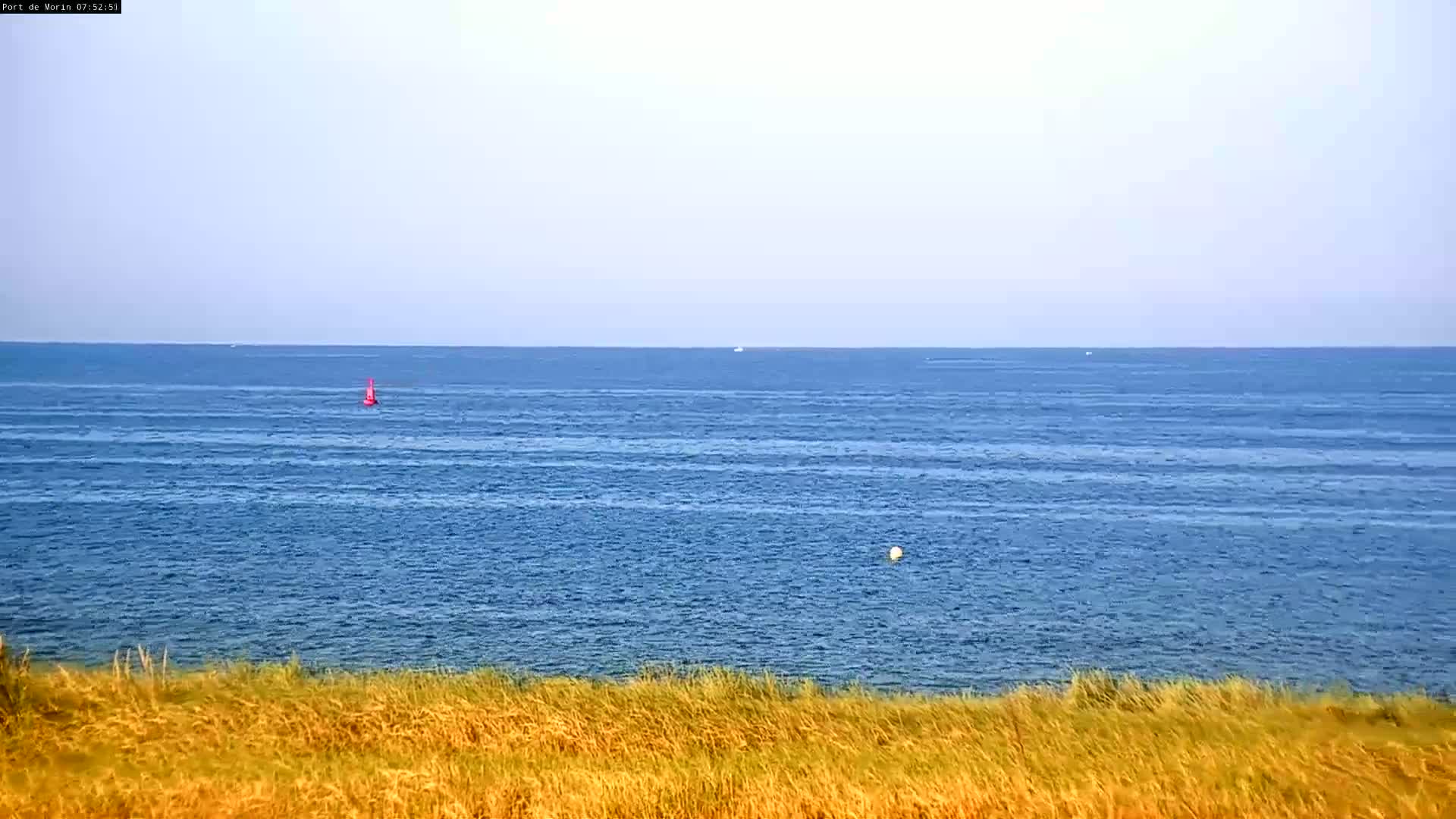 A calm blue ocean stretches to the horizon, viewed from behind tall, dry, golden grass.