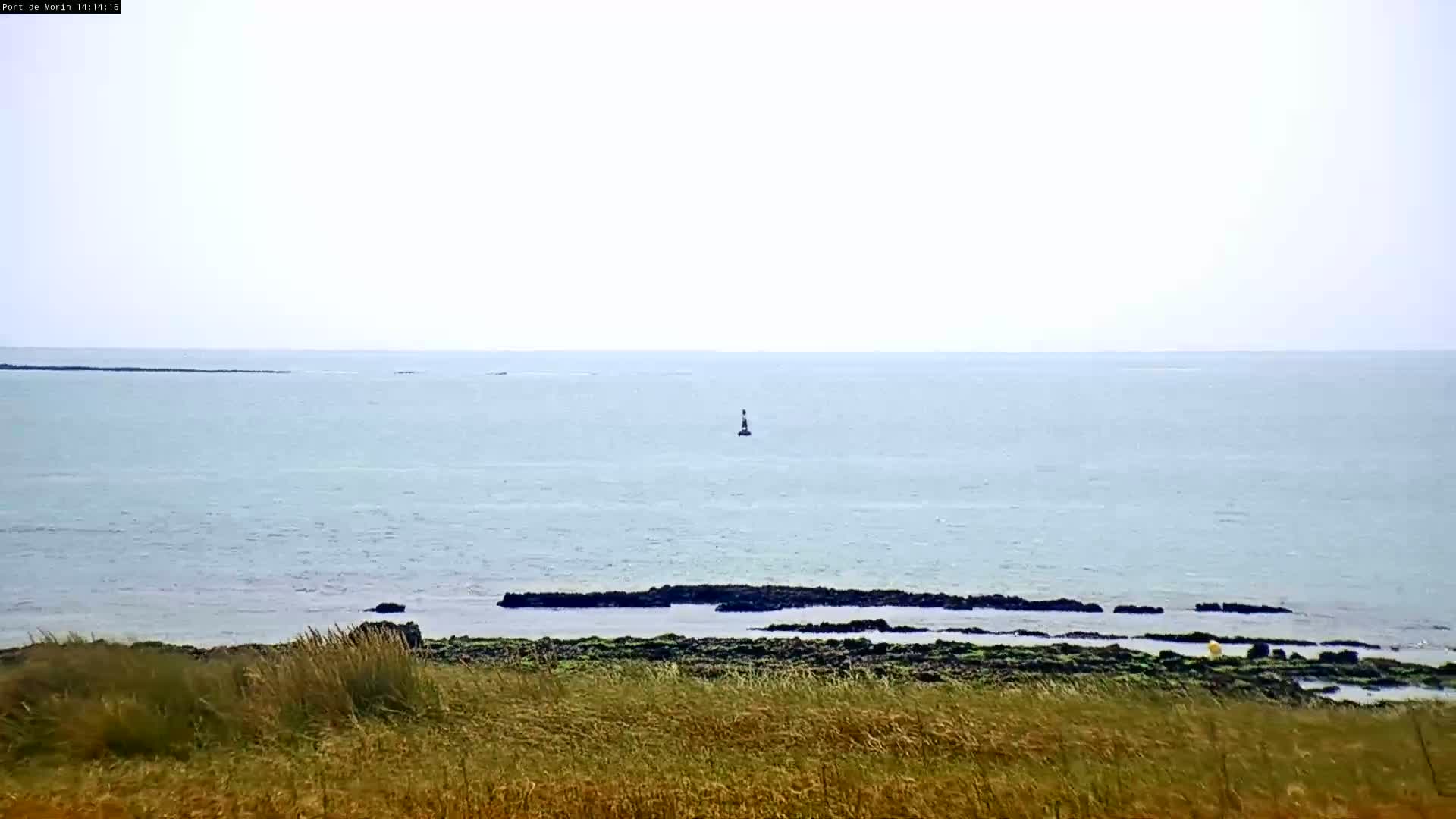 A calm, light-blue ocean stretches to the horizon, with a small navigational marker visible in the distance, a rocky shoreline in the foreground, and tall grasses in the immediate foreground.
