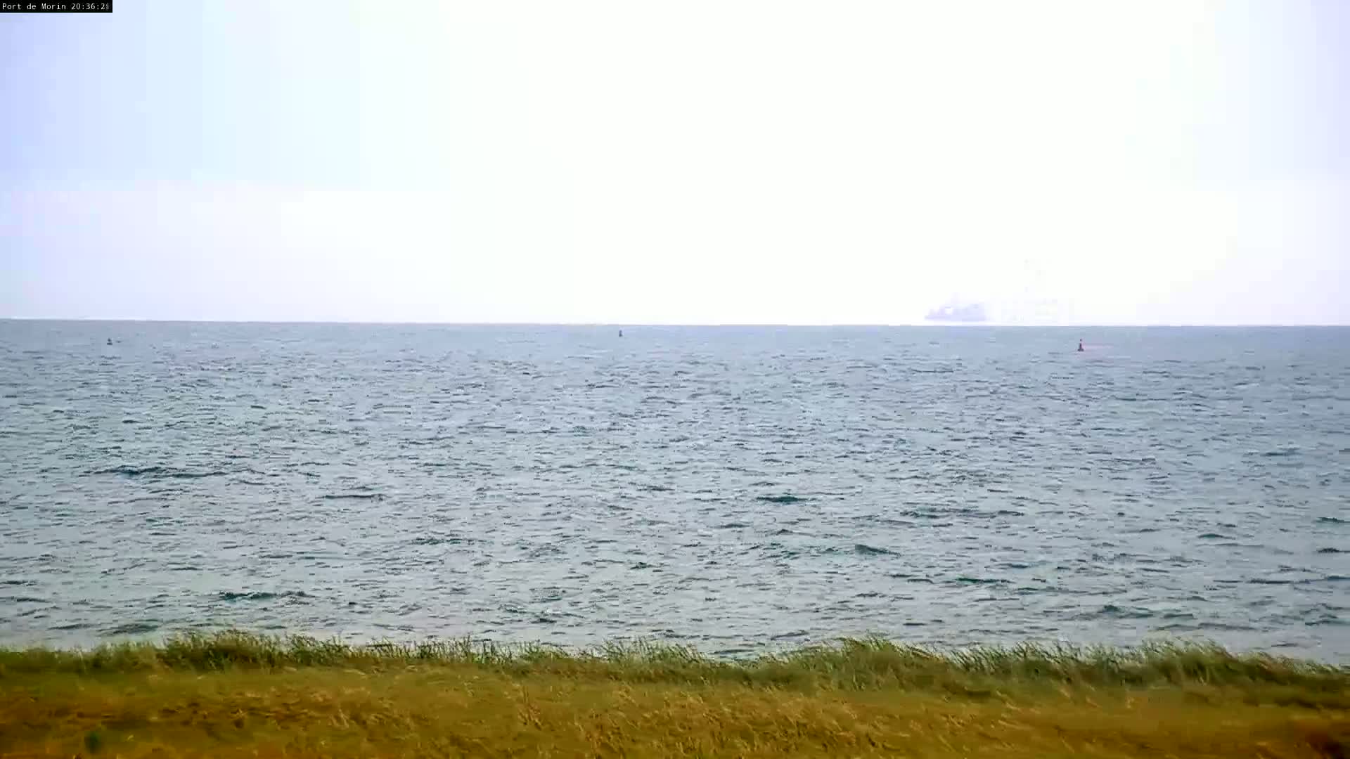 A calm, overcast day shows a view of the ocean from a grassy shoreline, with a distant ship visible on the horizon.