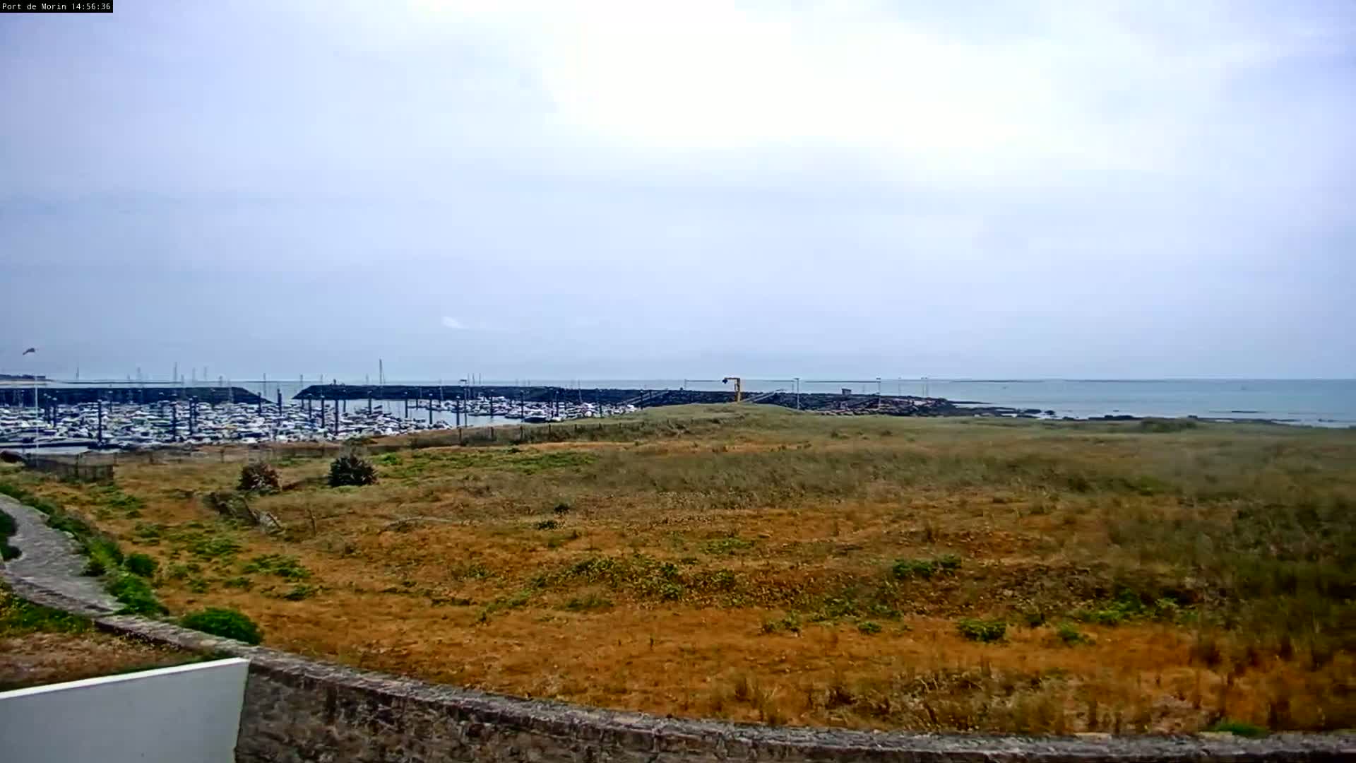 A mostly cloudy day reveals a view of a harbor filled with boats, beyond a grassy, scrub-covered area.
