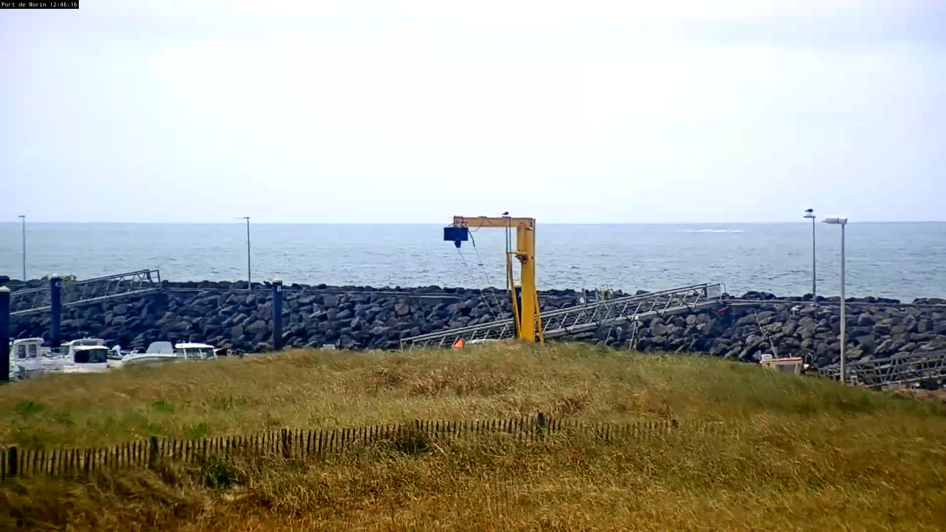 A yellow crane is positioned near a rocky breakwater next to a calm ocean, with several small boats moored nearby and tall grass in the foreground.