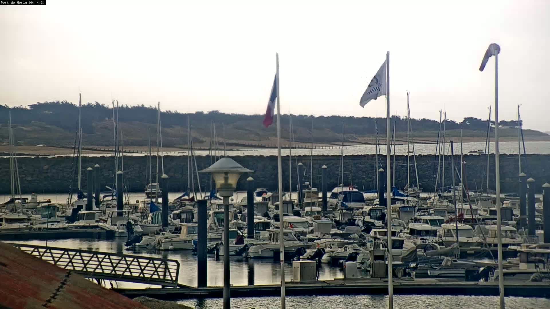A marina filled with numerous boats is situated in front of a calm body of water and a tree-lined shore under an overcast sky.