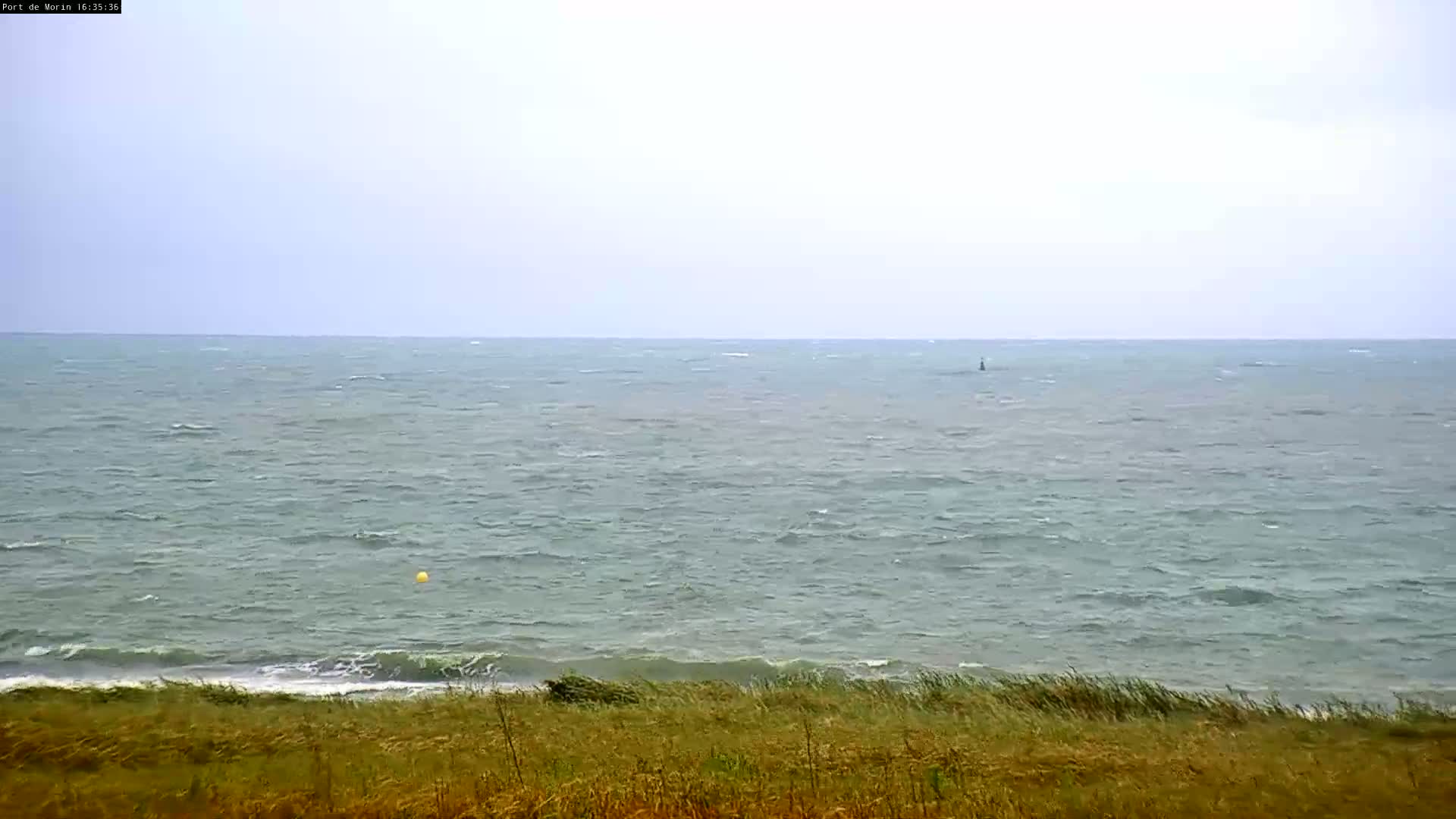 A wavy, gray-green sea stretches to a hazy horizon under an overcast sky, with tall grasses in the foreground.