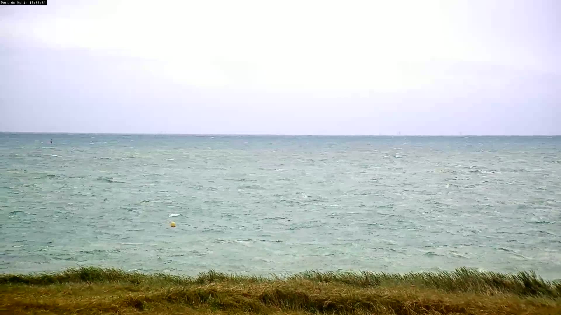 A wavy teal sea extends to a pale horizon under an overcast sky, viewed from behind windswept dune grass.