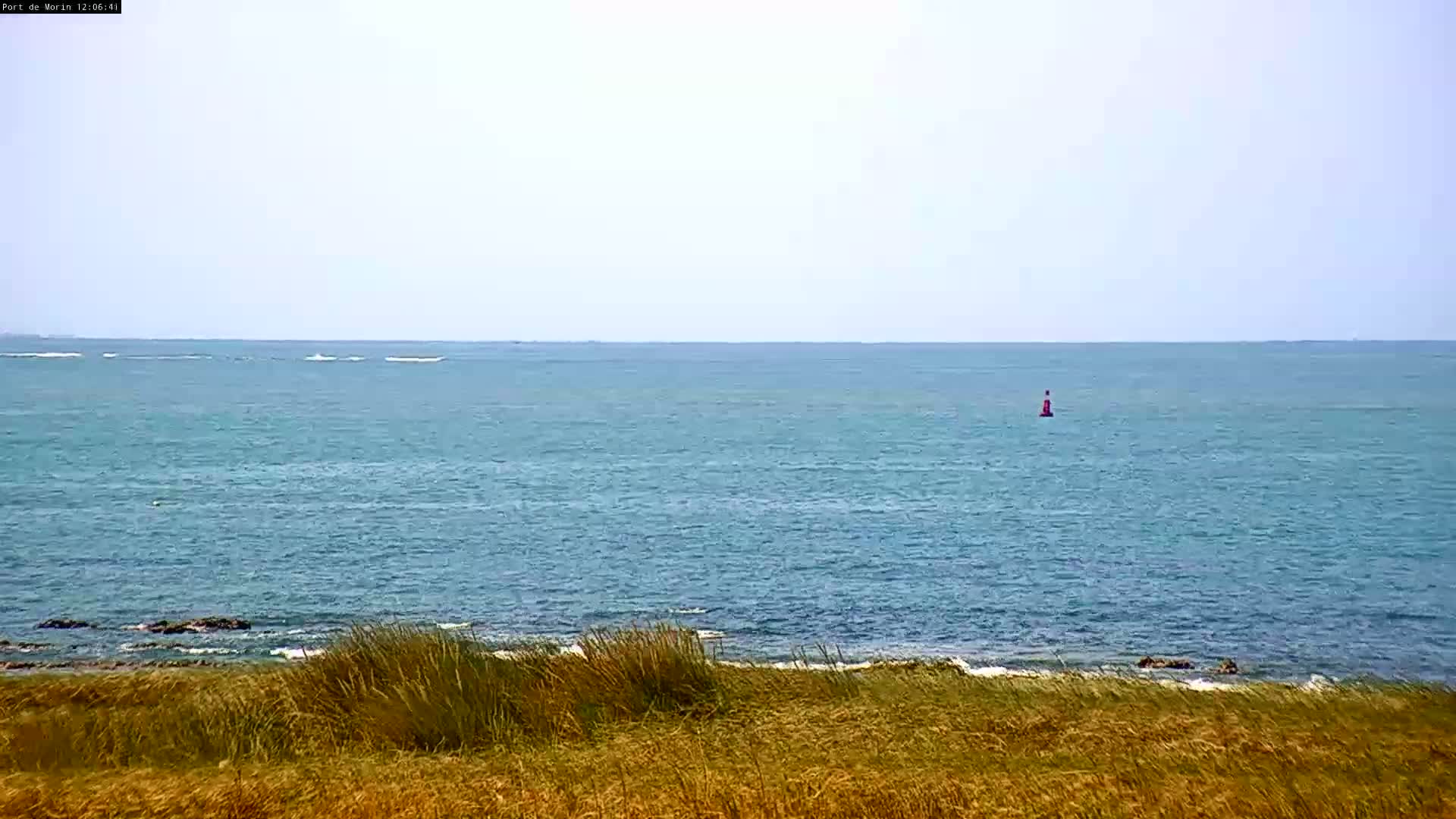 A calm, light-blue ocean stretches to the horizon, where a single marker buoy floats, viewed from a grassy, elevated shoreline.