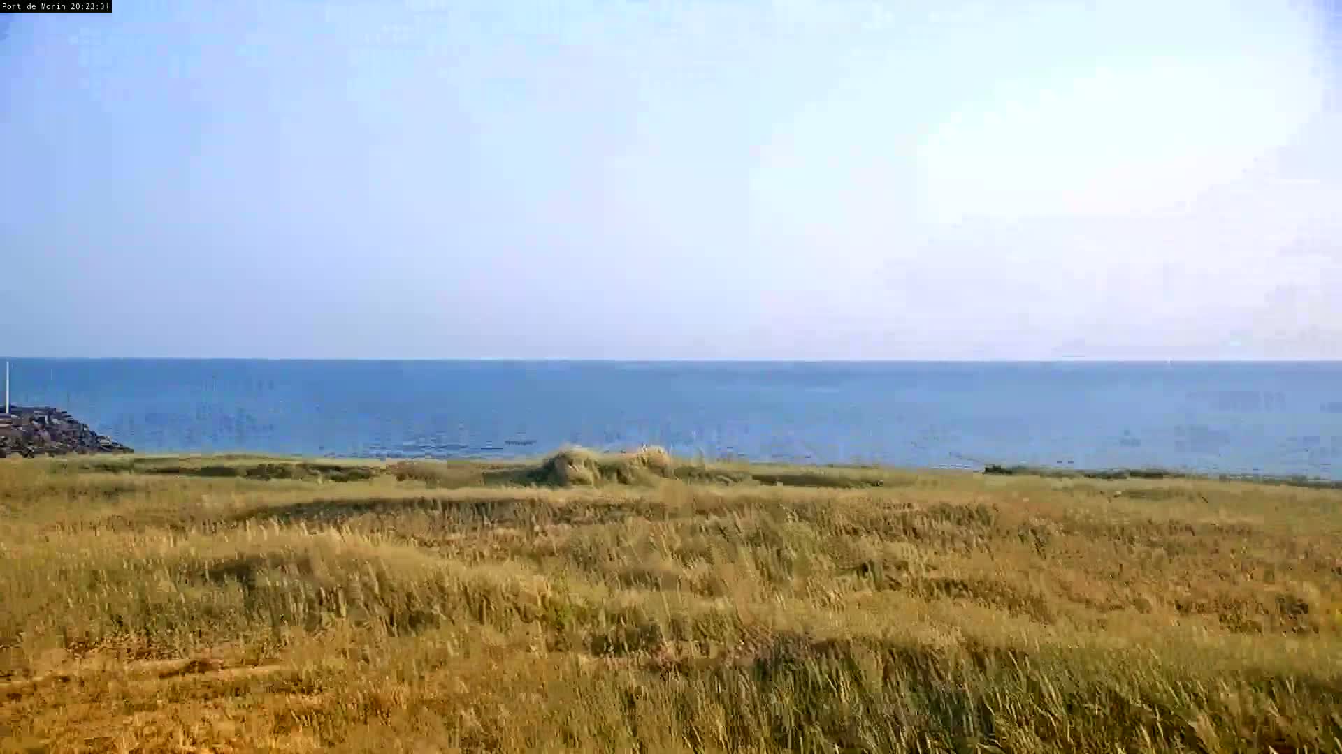 A calm, blue ocean is visible in the background behind a foreground of tall, dry, tan-colored grass under a clear, light blue sky.
