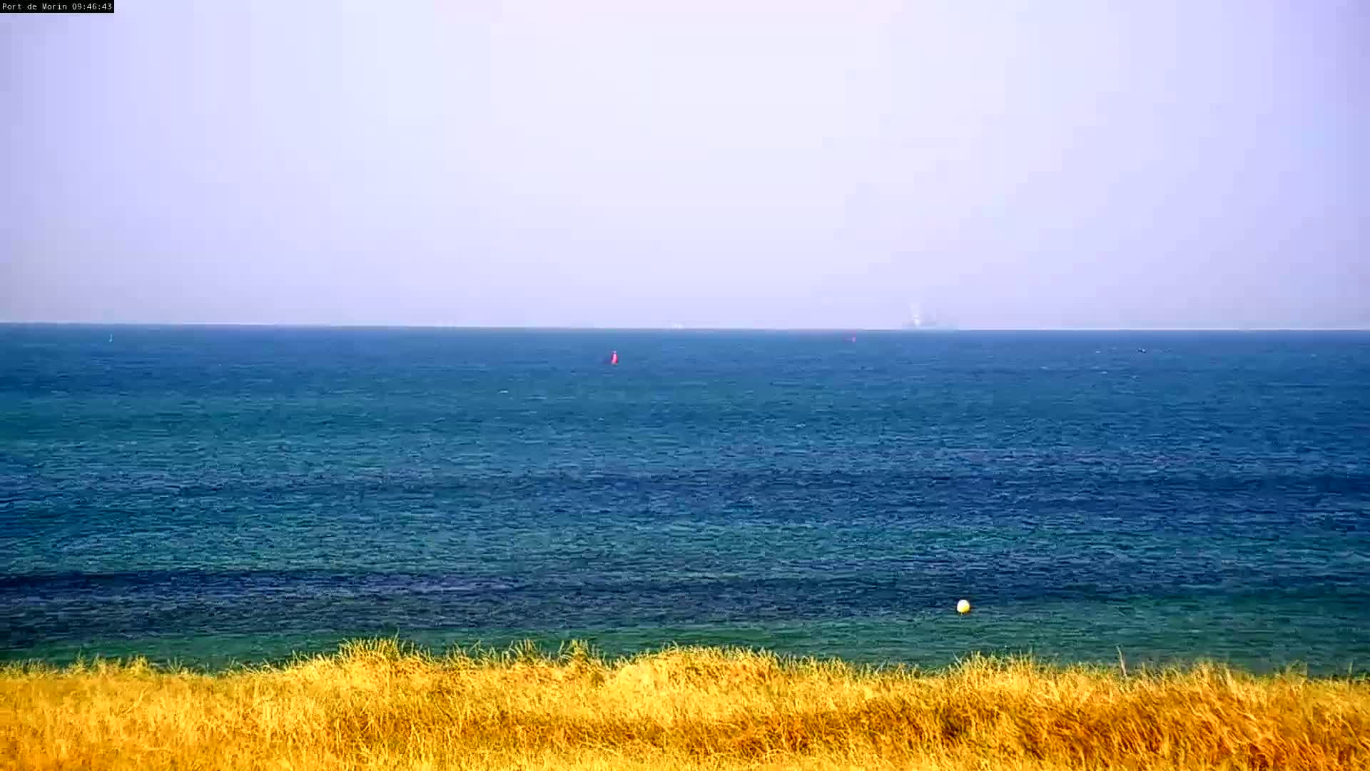 A calm, blue ocean stretches to the horizon under a hazy sky, viewed from behind a swathe of golden-brown grass.