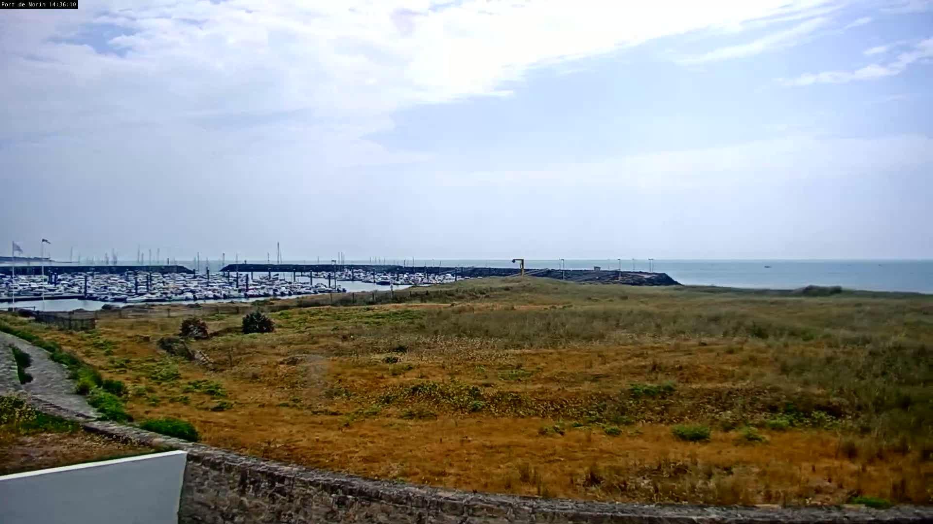 A mostly sunny day reveals a view of a harbor filled with boats, beyond a stretch of dry, tan-colored grass leading to a calm body of water.