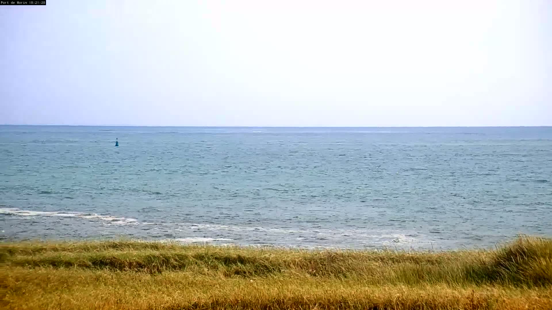 A calm sea stretches to the horizon under a pale sky, viewed from behind a line of tall grasses.