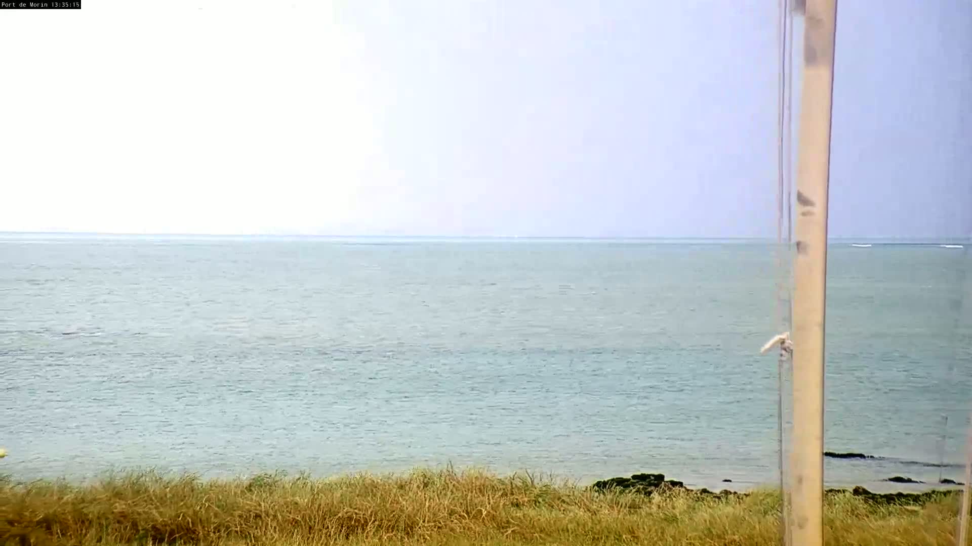 A calm, light-blue ocean stretches to a pale horizon, viewed from behind tall, dry grass under a mostly clear sky.