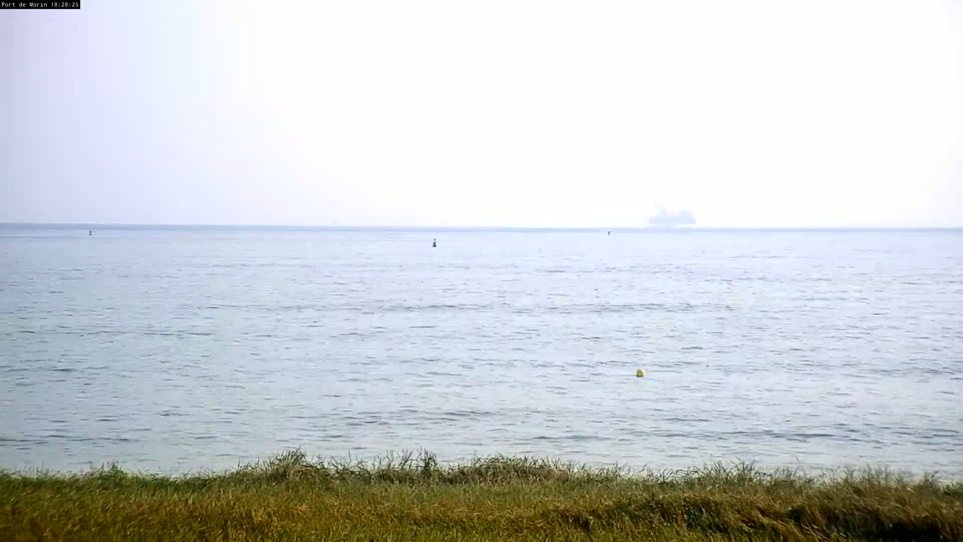 A hazy view of calm ocean water stretches to the horizon, where a distant ship is visible, with tall grass in the foreground.