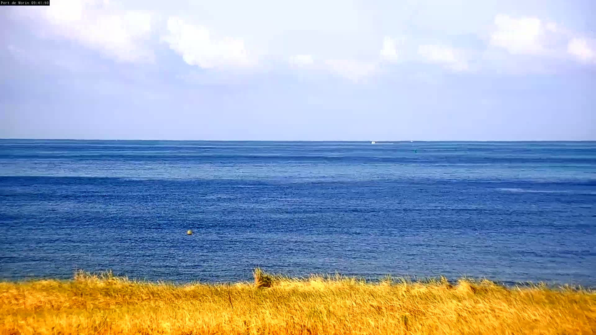 A calm, blue ocean stretches to the horizon under a partly cloudy sky, viewed from behind a line of golden-brown grass.