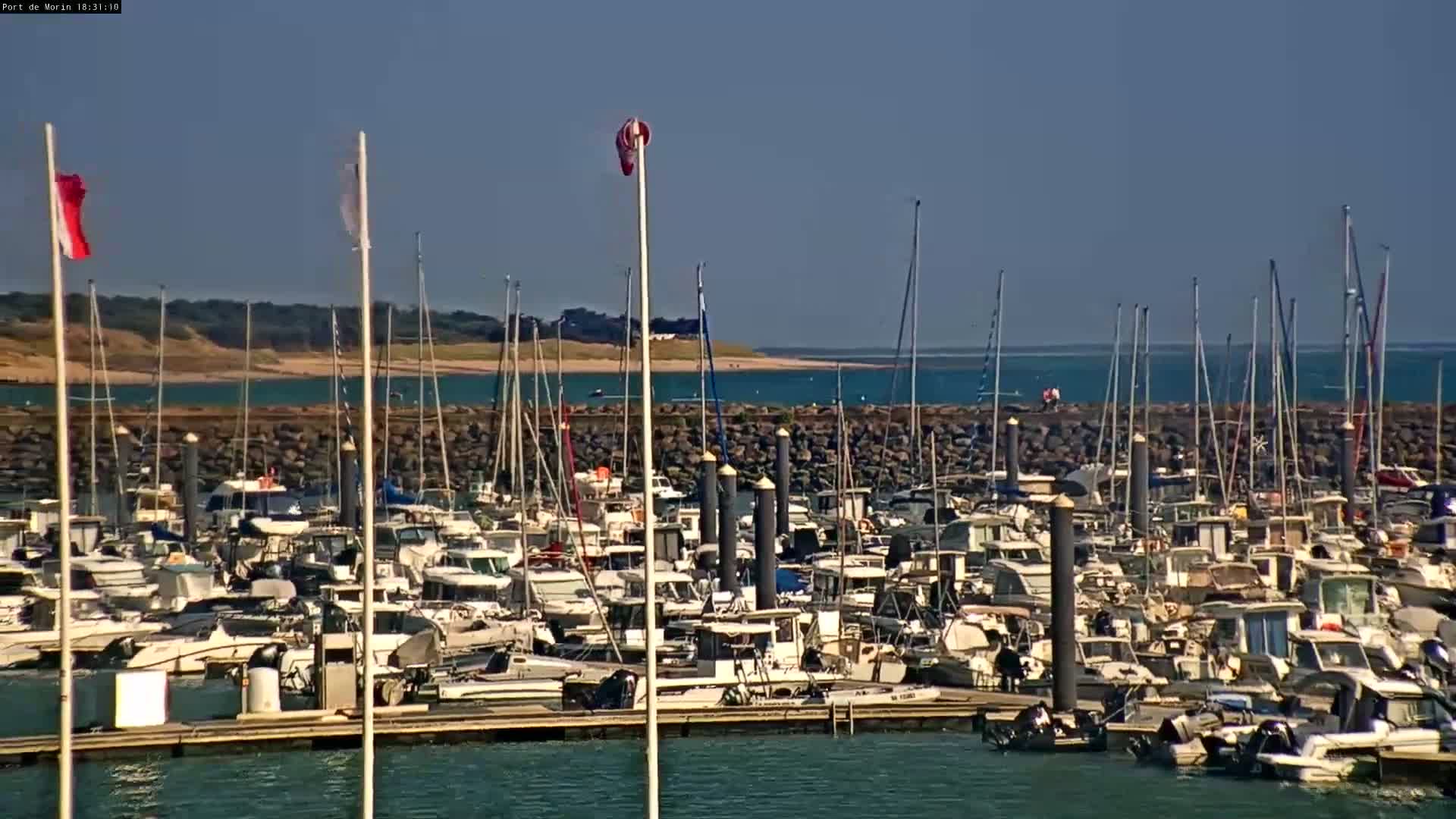 A marina filled with numerous boats is situated on calm water, under a clear sunny sky, with a sandy shore and greenery visible in the distance.
