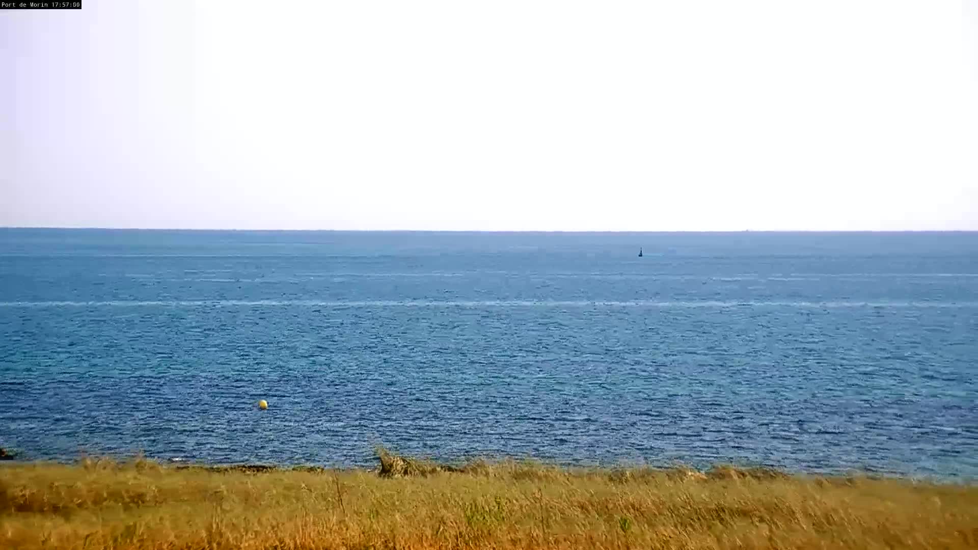 A calm, blue ocean stretches to the horizon under a clear sky, viewed from a grassy shoreline.