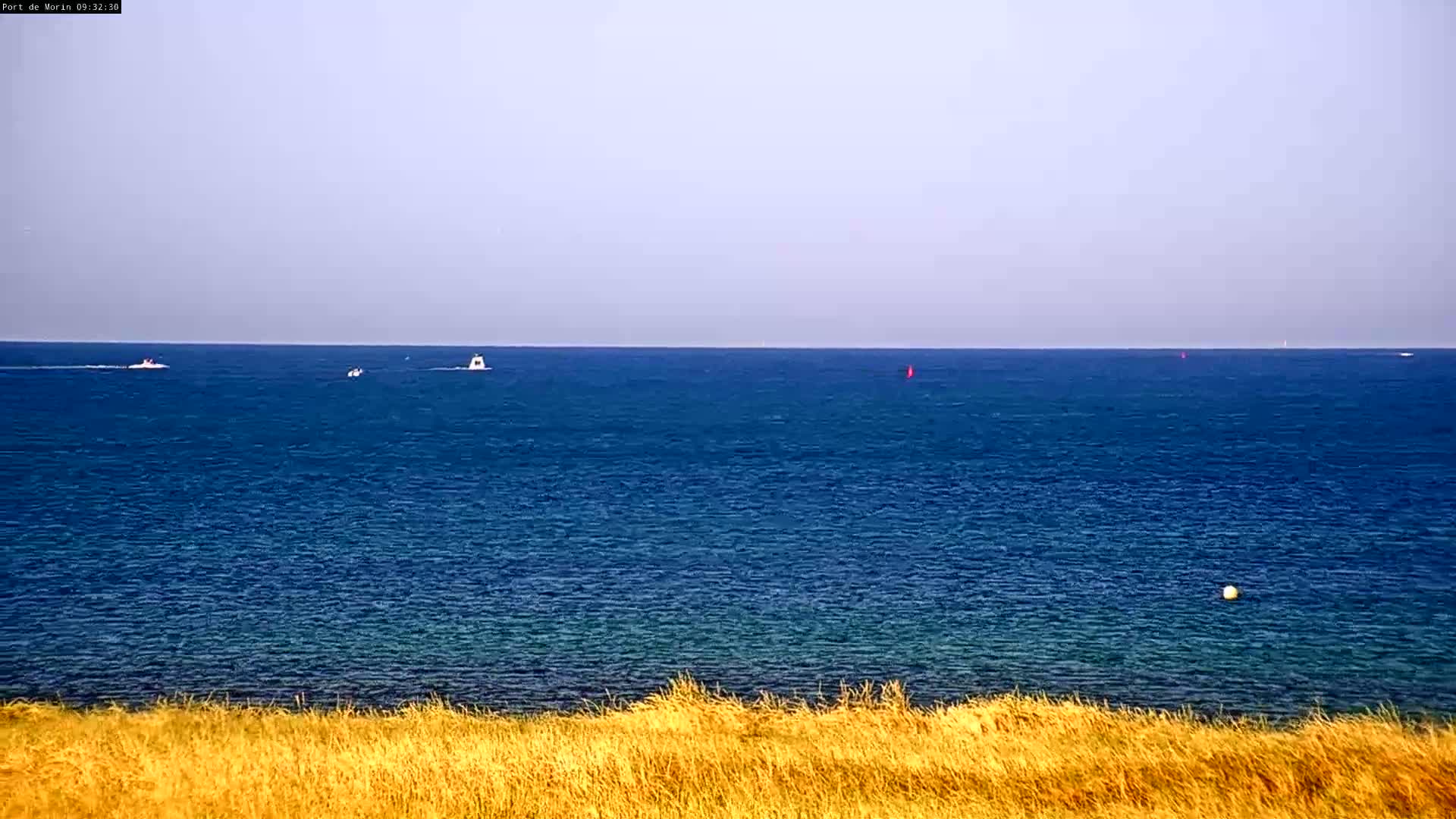 A calm, blue ocean stretches to the horizon, where a few small boats are visible, and is viewed from behind a strip of golden-brown grass.
