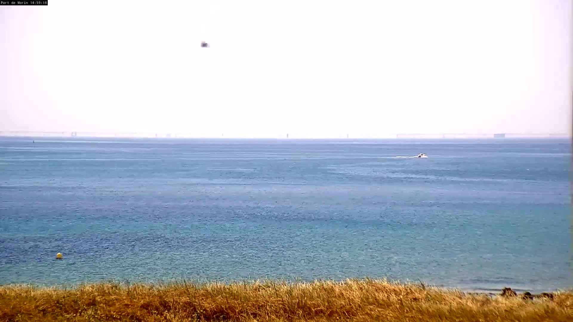 A calm, hazy ocean is viewed from a grassy hill, with a small boat visible in the distance.