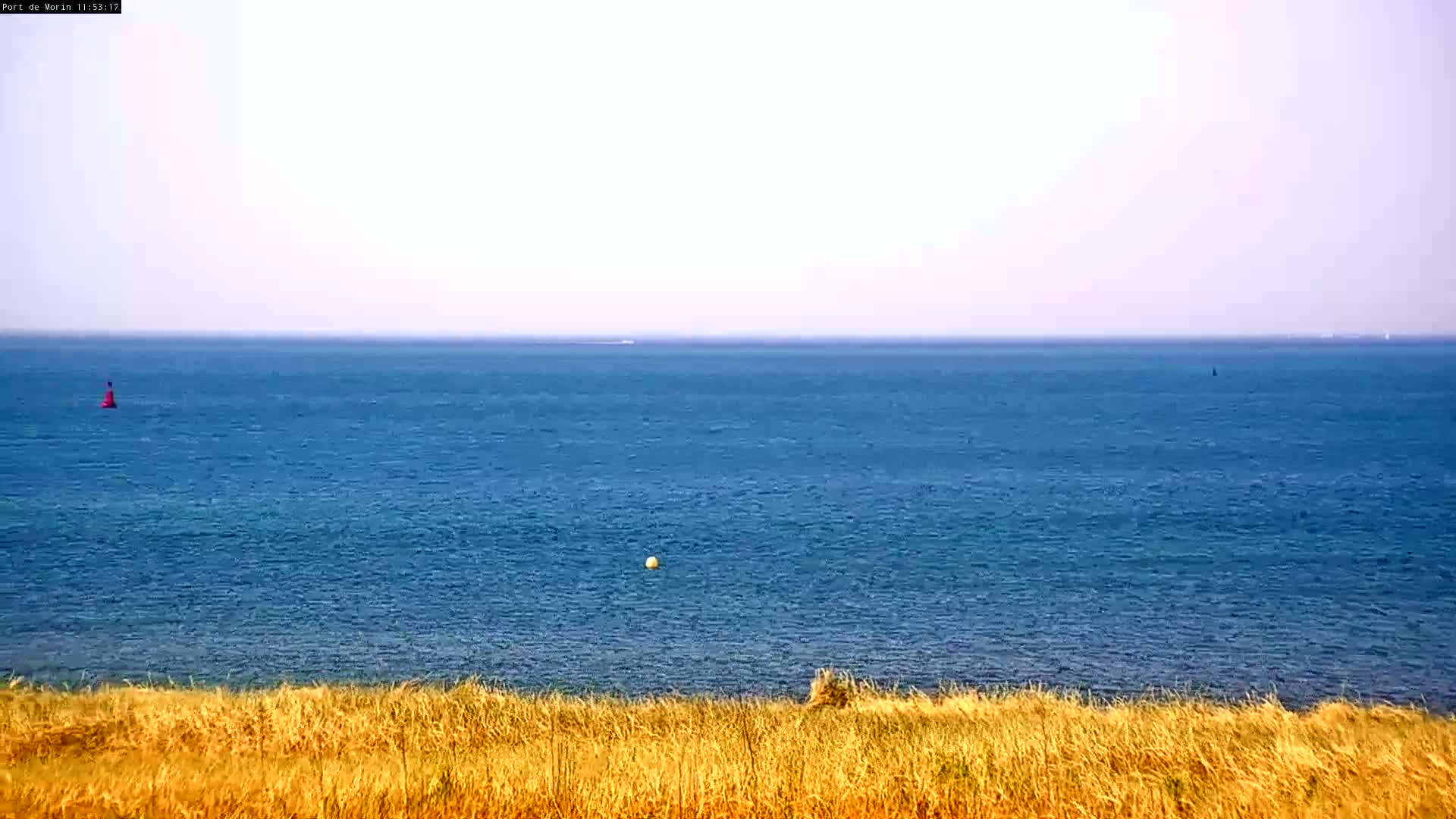 A calm, blue ocean stretches to the horizon under a pale sky, viewed from behind a foreground of dry, golden-brown grass.