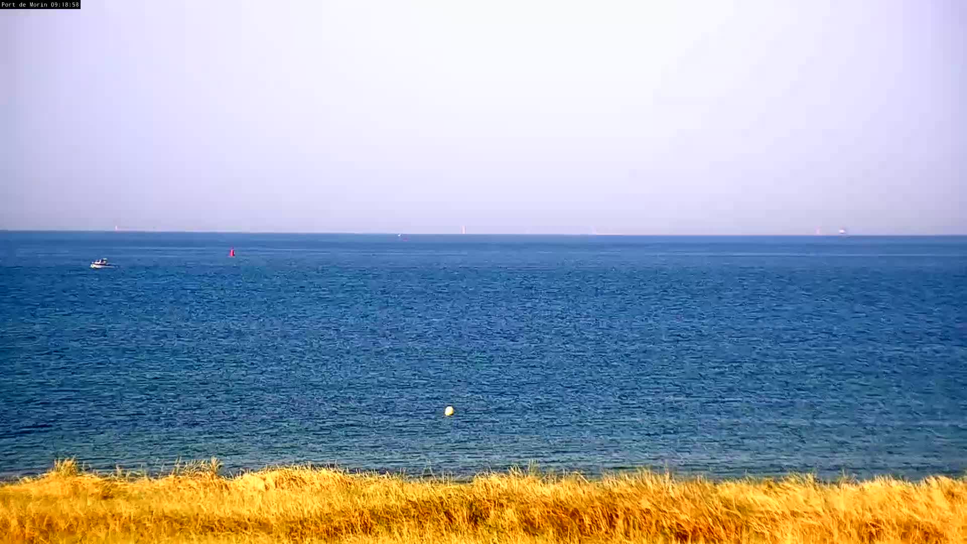 A calm blue ocean stretches to the horizon, viewed from a grassy dune under a clear sky.