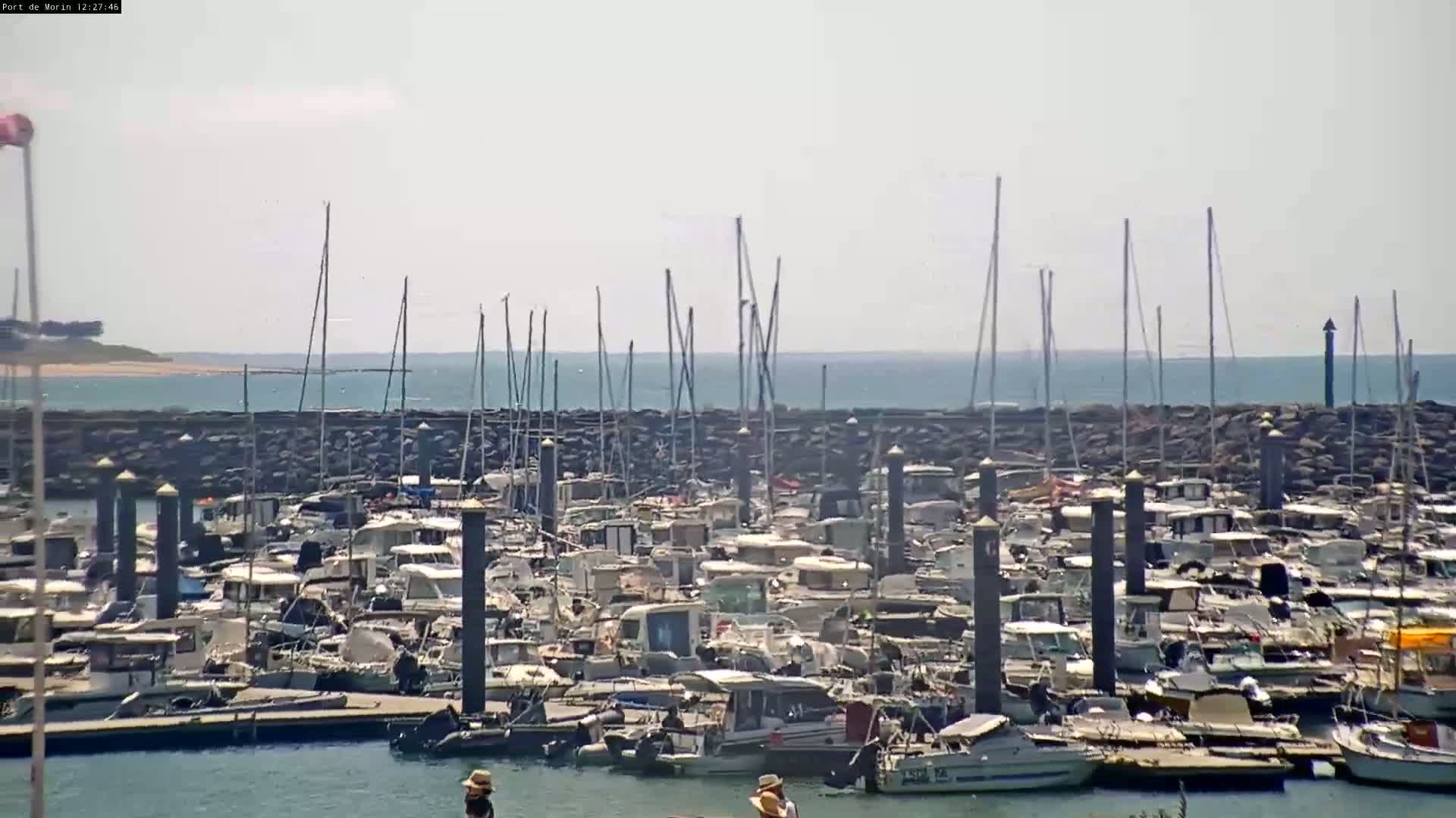 A crowded marina filled with numerous boats and yachts under a mostly clear sky.