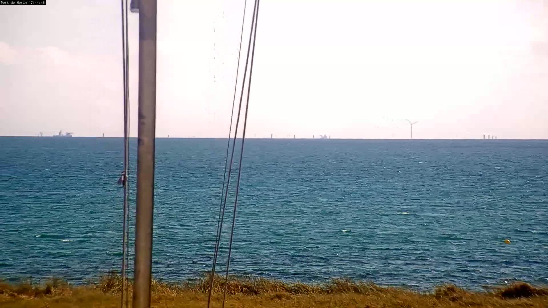 A mostly calm, blue ocean stretches to the horizon where several wind turbines are visible, viewed from a coastal area with dry, brown grass.