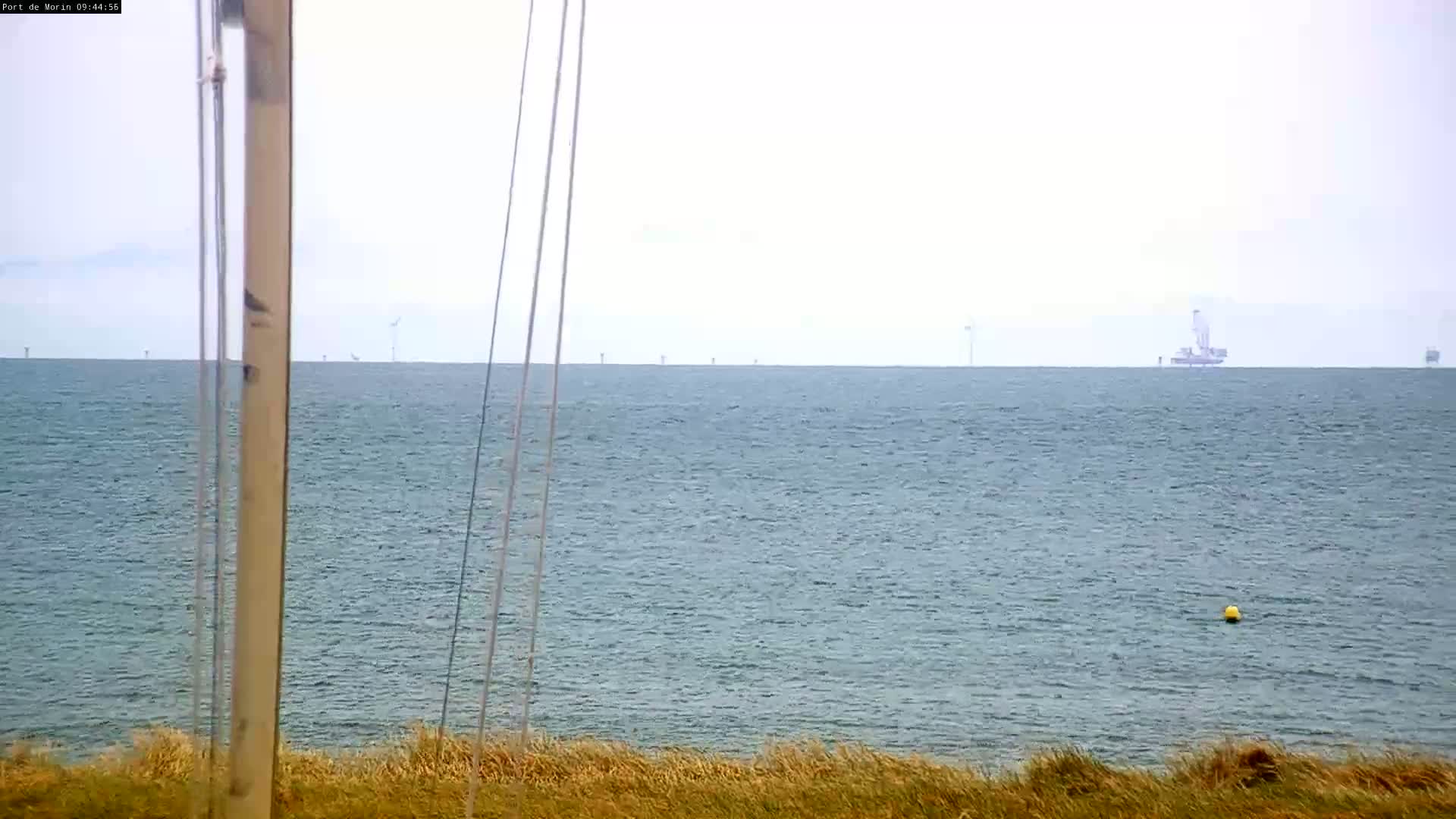 A grey, overcast day shows a calm sea with distant wind turbines and a large vessel on the horizon, viewed from a grassy shore.