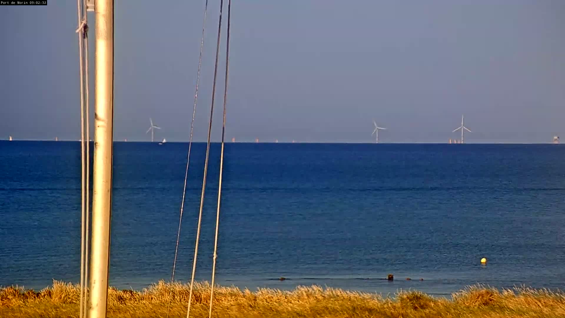 A calm, blue ocean stretches to the horizon, where several wind turbines are visible, with tan grasses in the foreground.