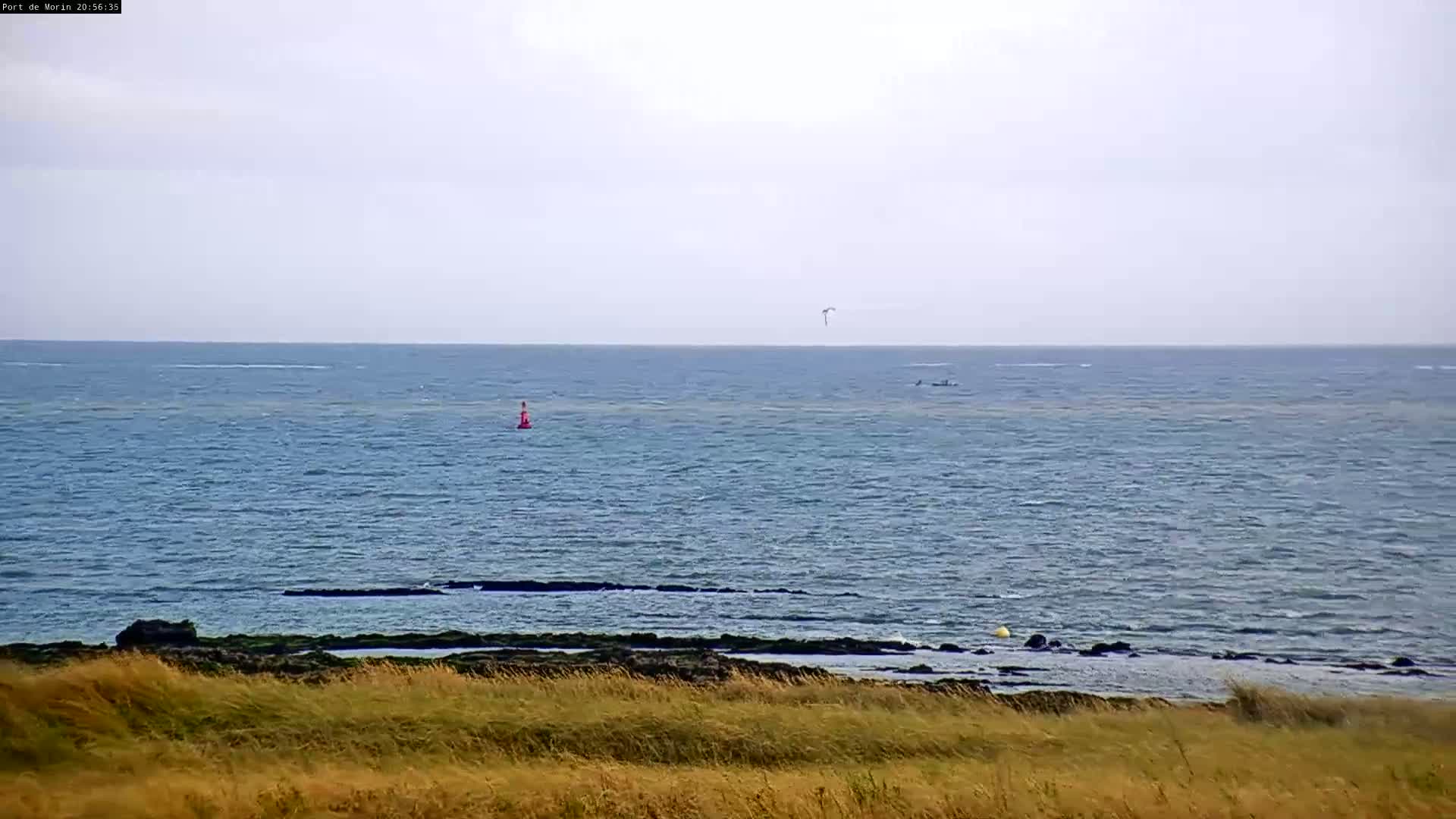 Noirmoutier - Port de Morin L'Epine Live Cam - Les Sables-d'Olonne, Vendée, Pays de la Loire, France