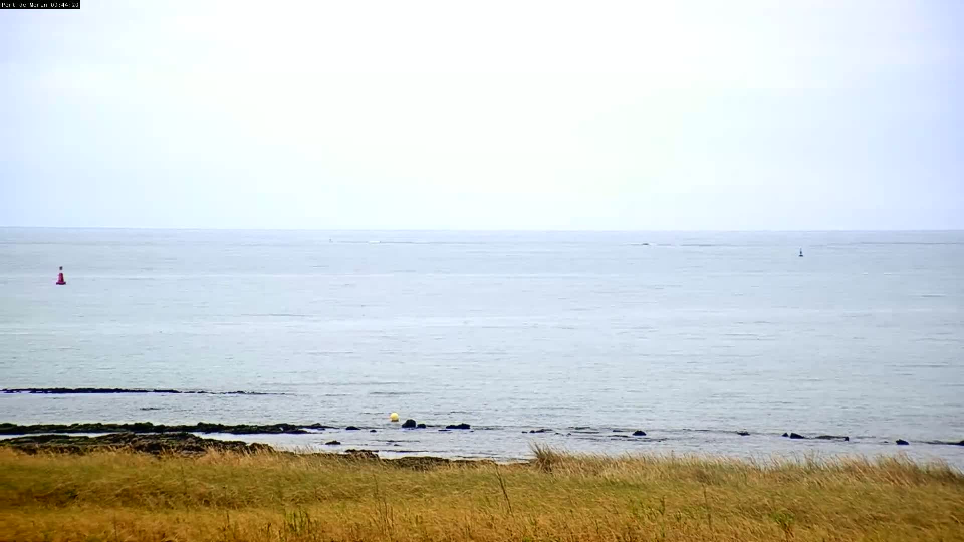 A calm, light-grey ocean stretches to a pale horizon, meeting a rocky shoreline bordered by tall, dry grass.