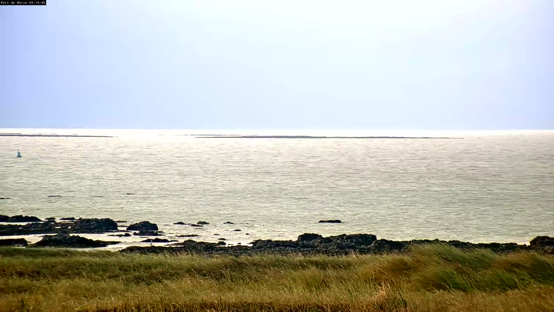 On a bright and clear day, dry grass and dark rocks line the foreground of a calm, sun-drenched sea stretching to a hazy horizon under a light blue sky, with a white buoy bobbing in the distance.
