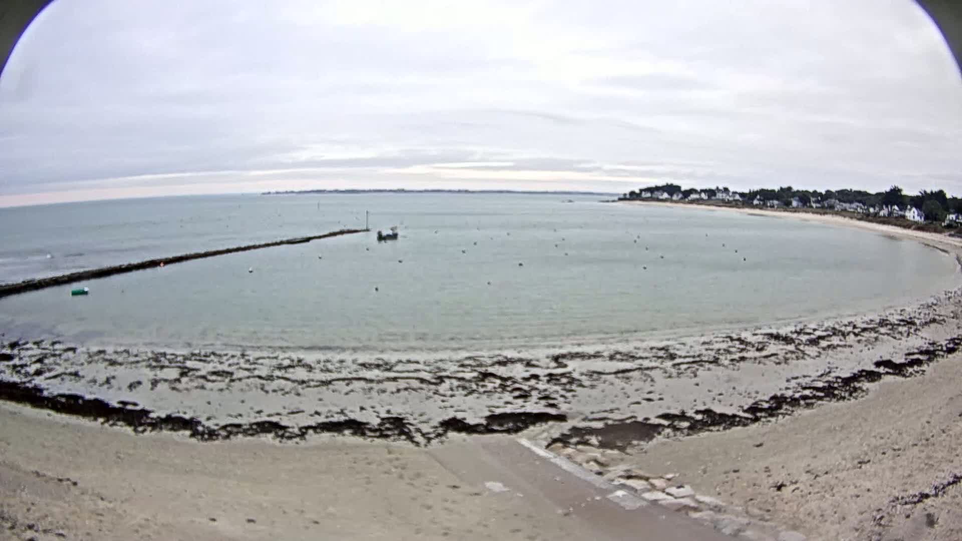 A calm, overcast day at a beach with a small boat in the bay, a low-lying stone breakwater, and a sandy shore showing patches of dark seaweed.