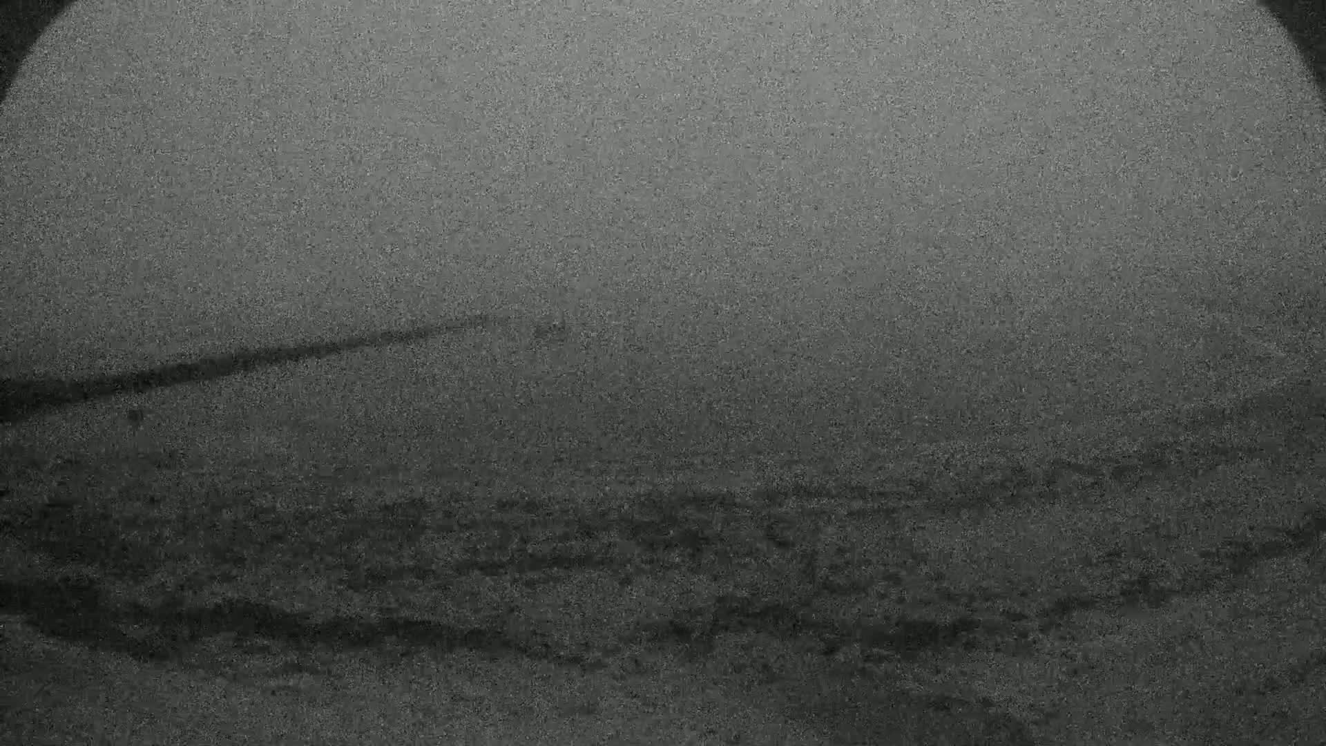 A blurry, grainy image shows a dark, possibly overcast landscape.