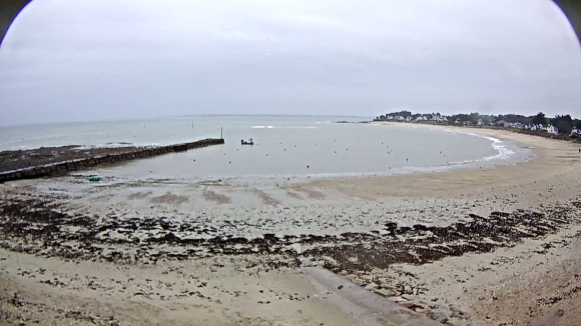 A sandy beach curves around a calm, gray sea under an overcast sky, with a small boat visible in the water and seaweed exposed on the sand near a low stone wall.