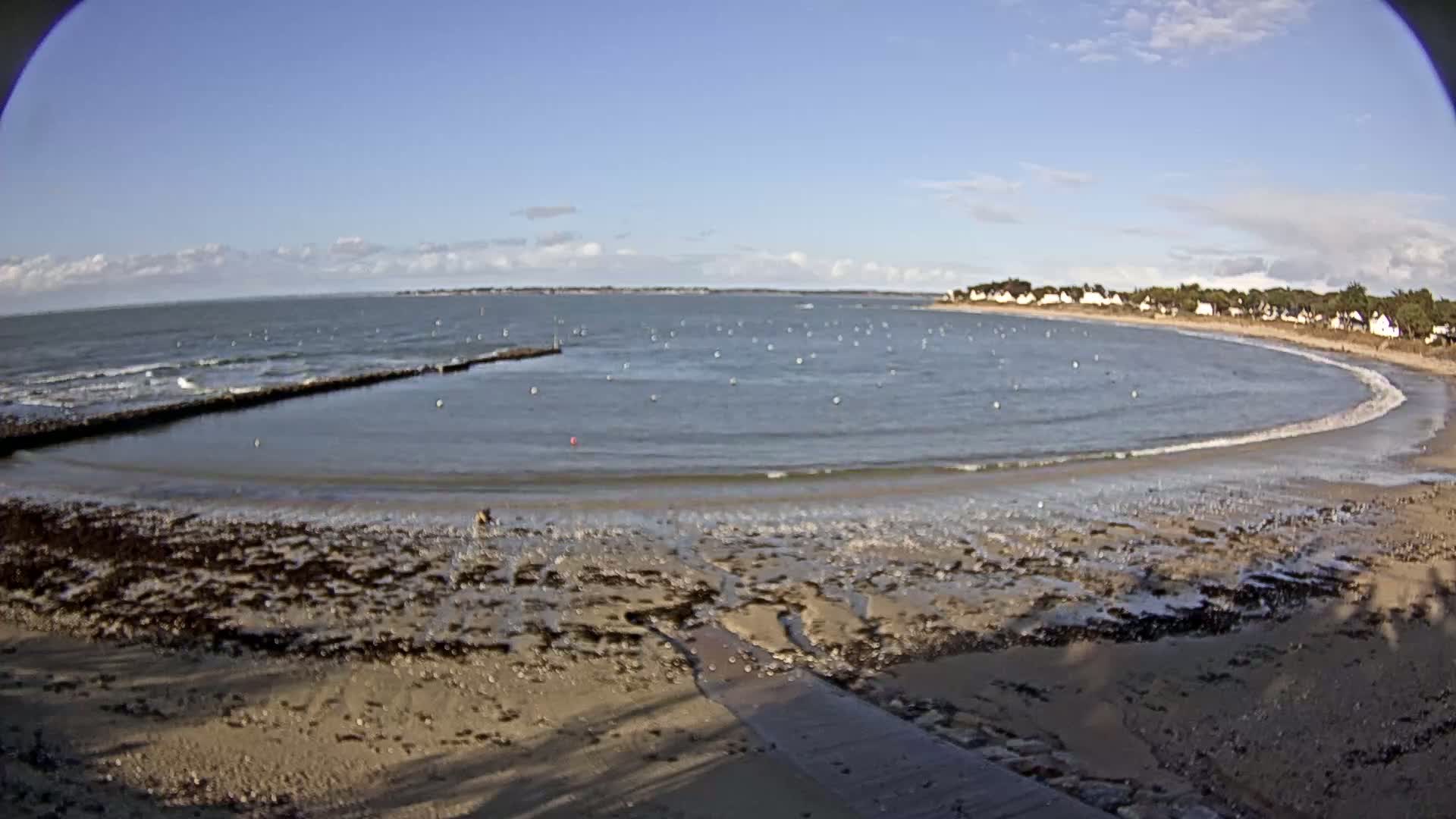 A sandy beach curves around a calm bay under a mostly clear sky, with small waves lapping the shore and a few houses visible in the distance.