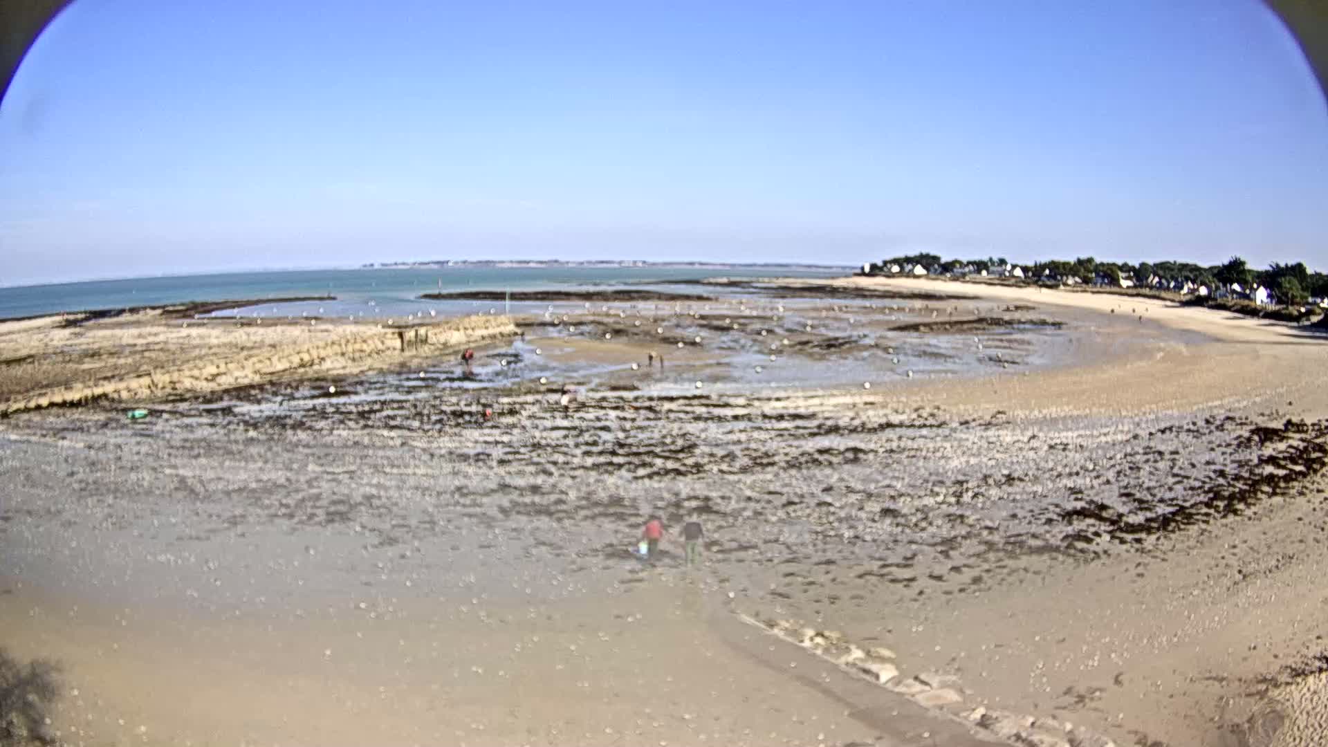 A wide, sandy beach stretches out to a calm sea under a clear blue sky, with several people scattered across the exposed seabed at low tide.