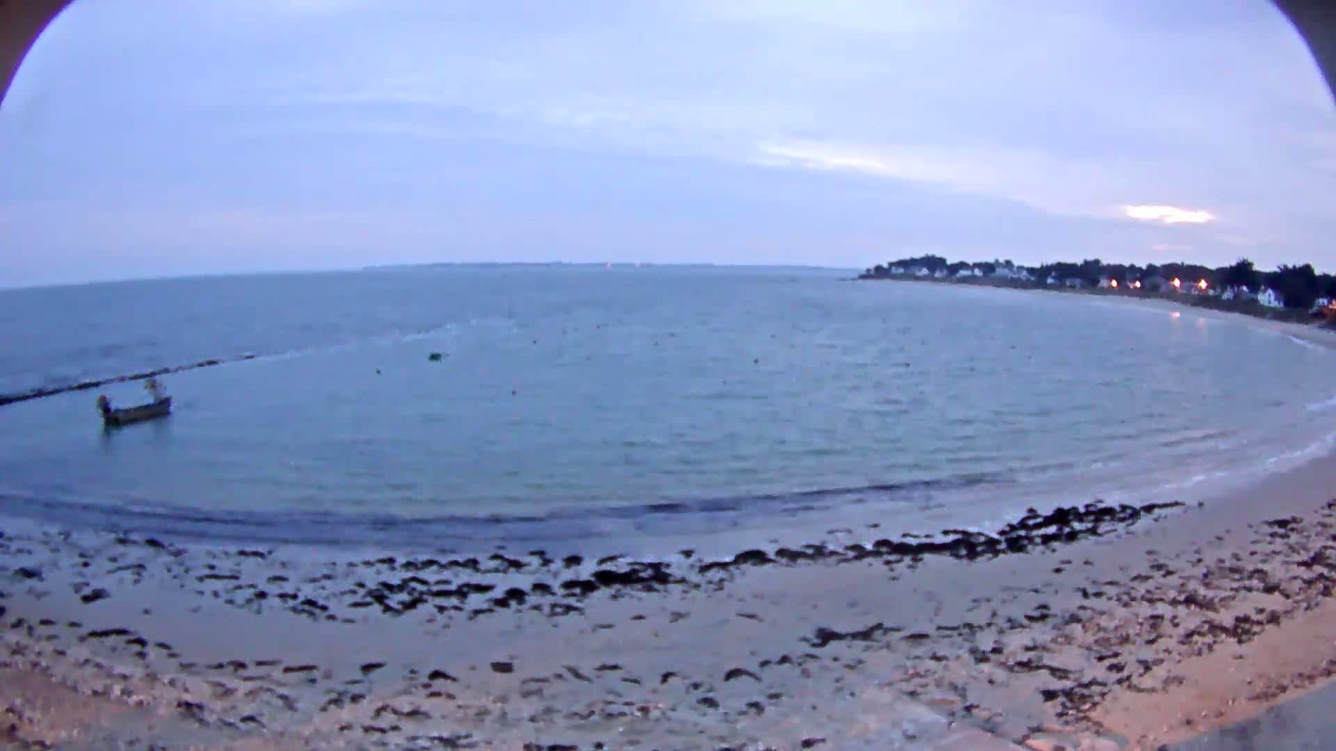 A calm, pale-blue sea laps a sandy beach strewn with dark seaweed under a dusky sky.