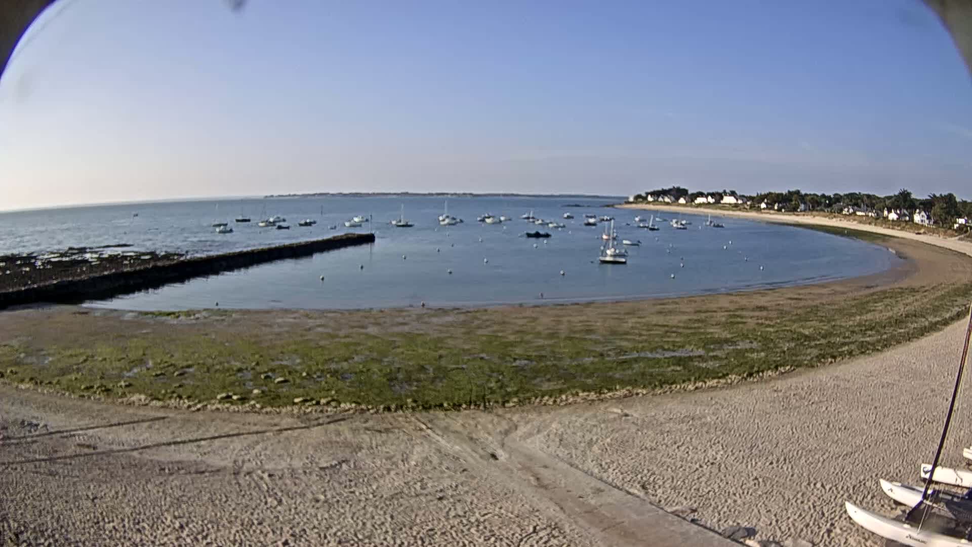 A sandy beach curves around a calm bay filled with numerous sailboats under a clear blue sky.