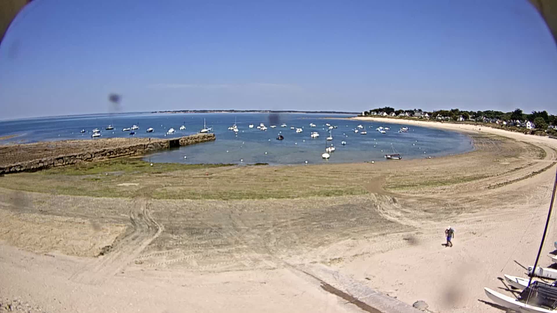 A sandy beach curves around a calm bay filled with numerous small boats under a clear blue sky.